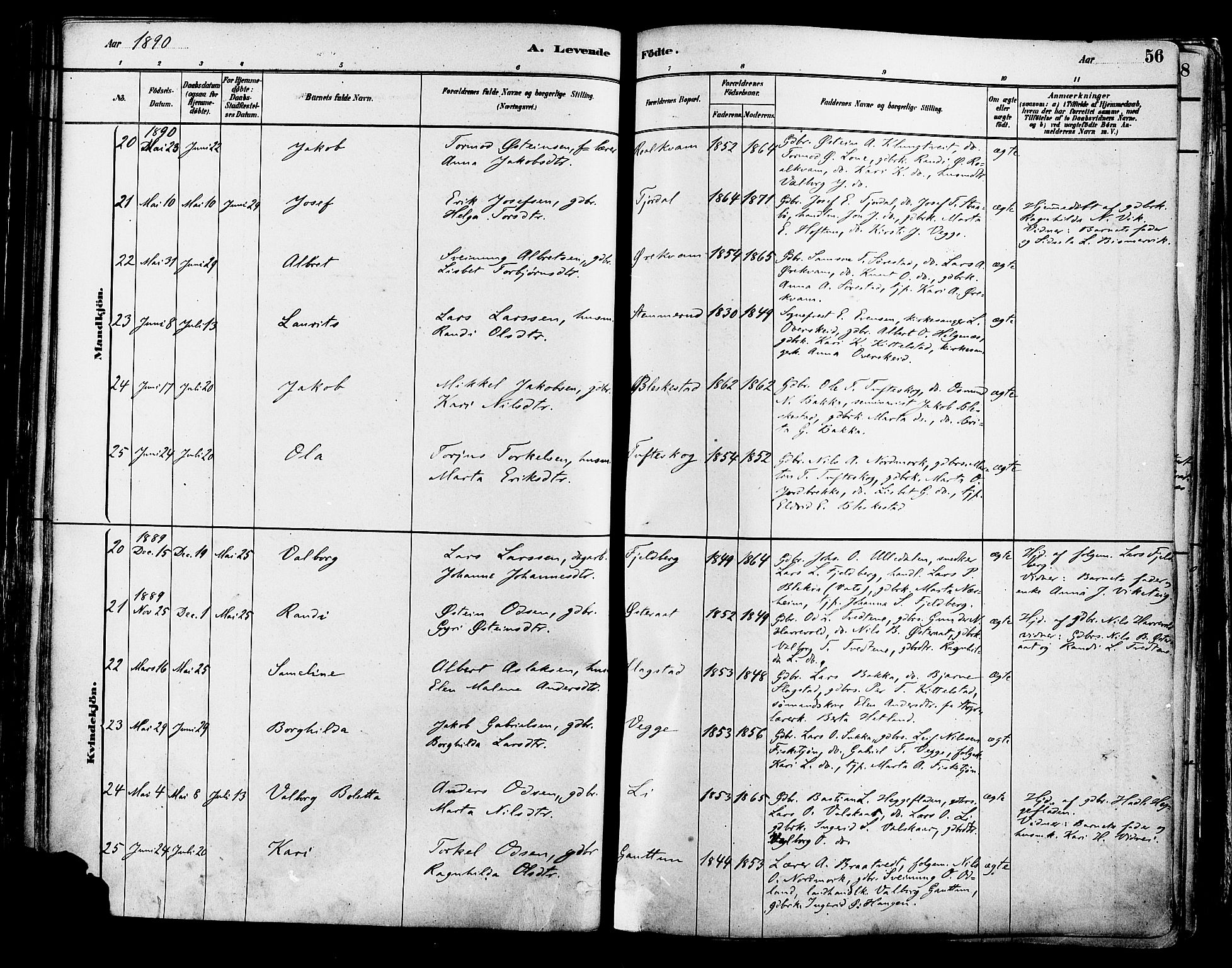 Suldal sokneprestkontor, AV/SAST-A-101845/01/IV/L0011: Parish register (official) no. A 11, 1878-1900, p. 56