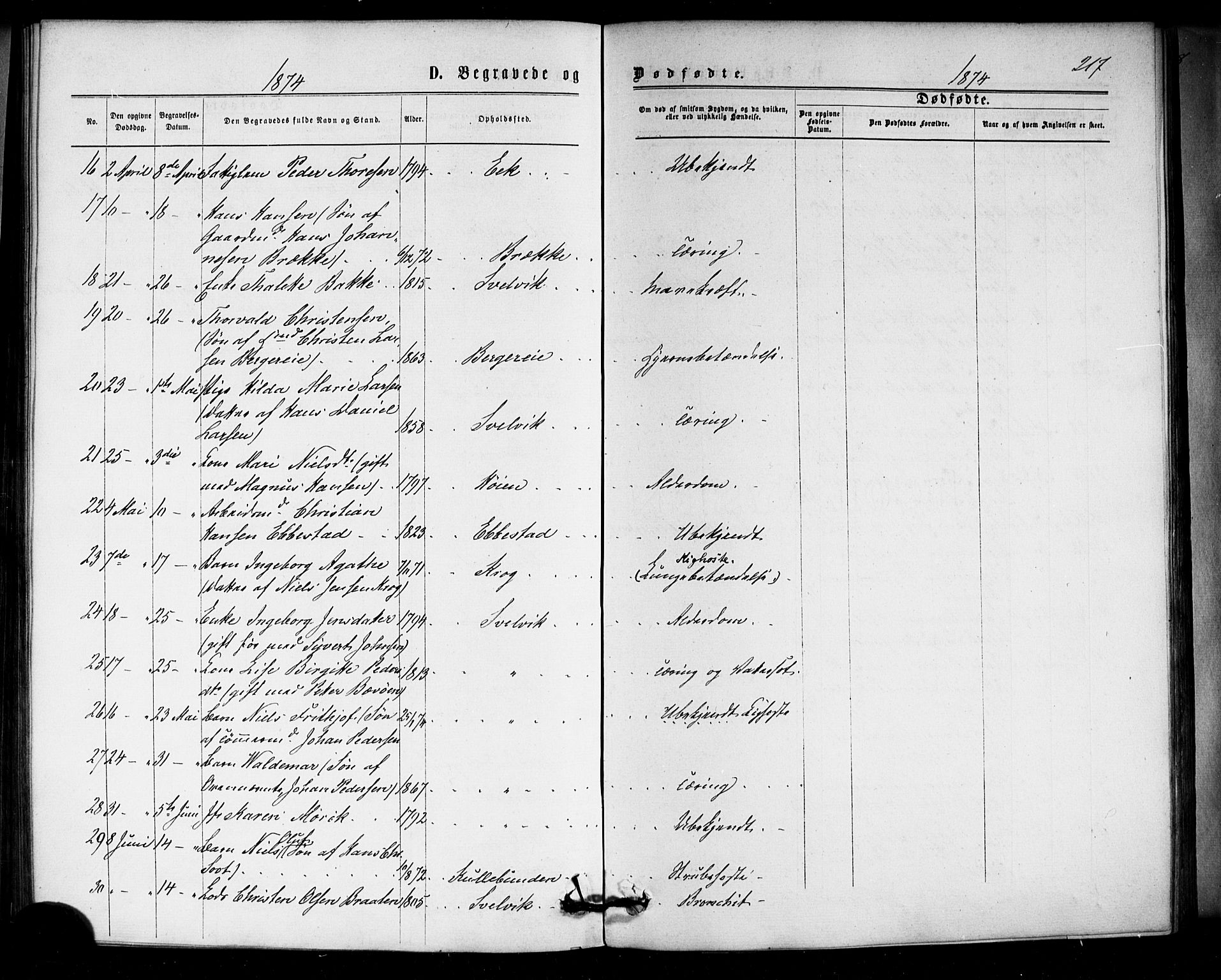 Strømm kirkebøker, AV/SAKO-A-322/F/Fa/L0002: Parish register (official) no. I 2, 1870-1877, p. 217