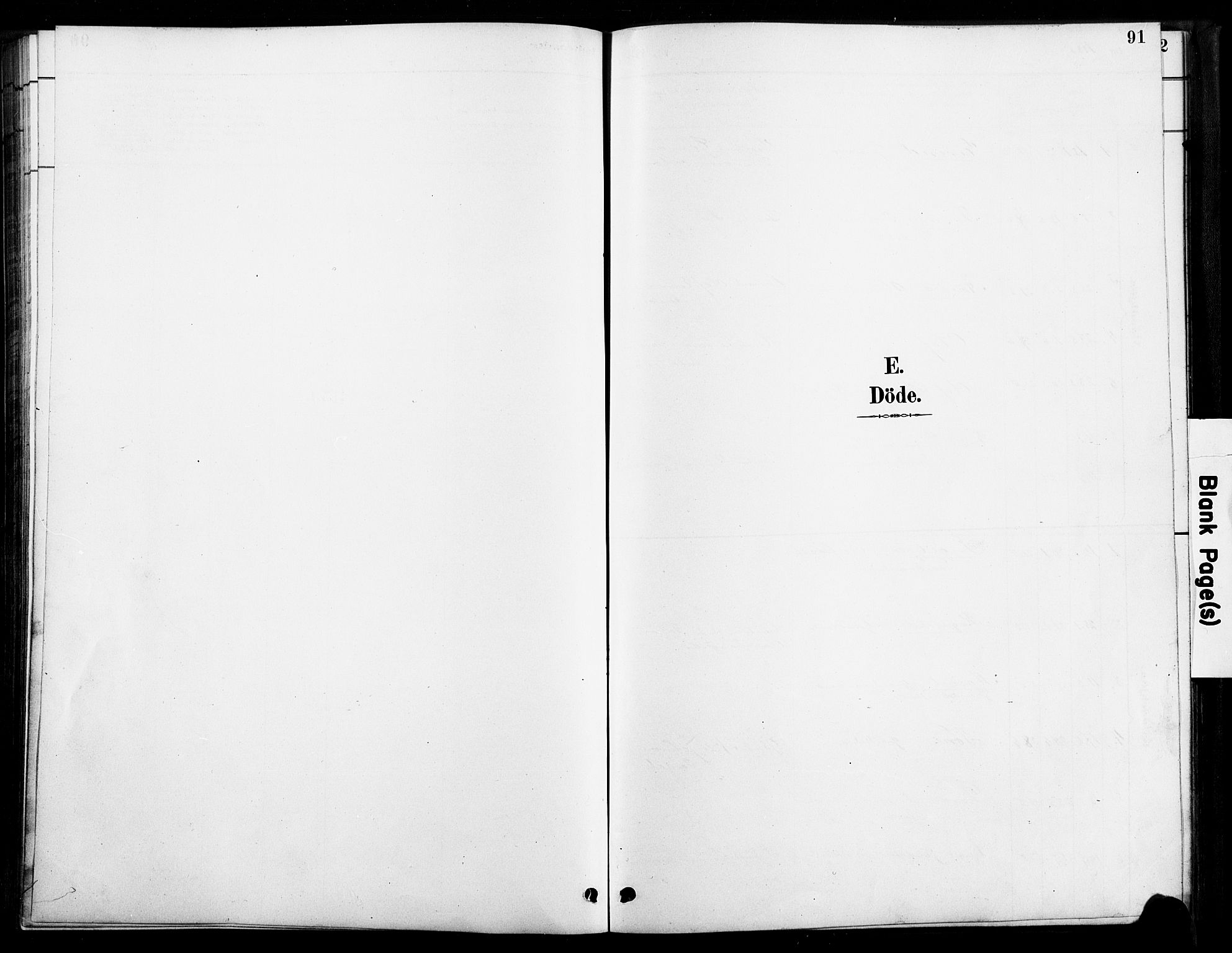 Bygland sokneprestkontor, SAK/1111-0006/F/Fa/Faa/L0001: Parish register (official) no. A 1, 1885-1908, p. 91