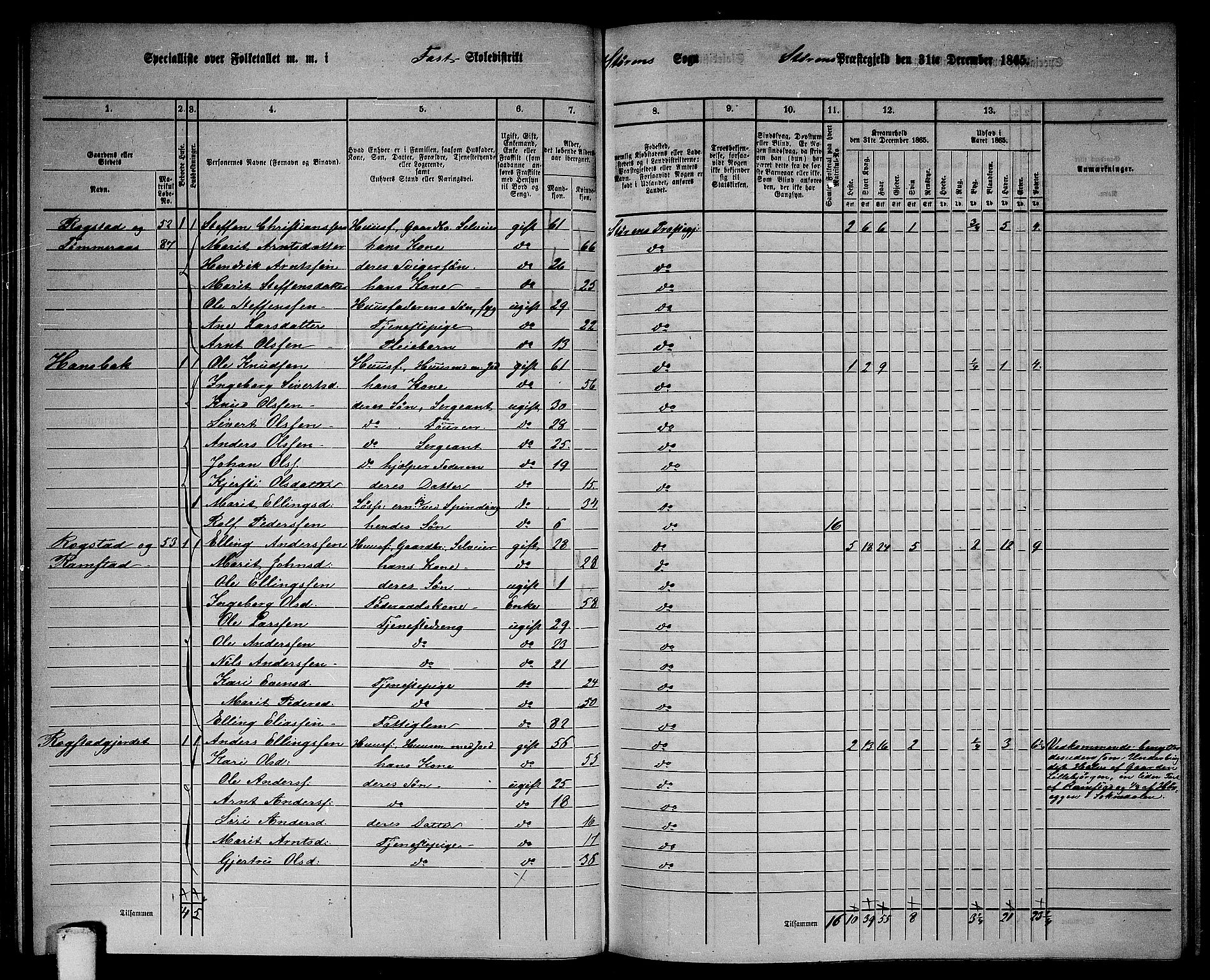 RA, 1865 census for Støren, 1865, p. 86