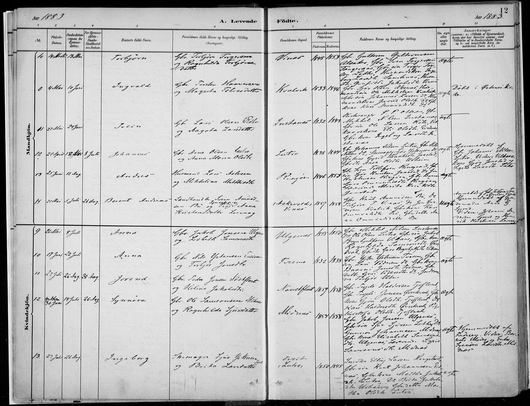 Ullensvang sokneprestembete, AV/SAB-A-78701/H/Haa: Parish register (official) no. E  1, 1882-1921, p. 12