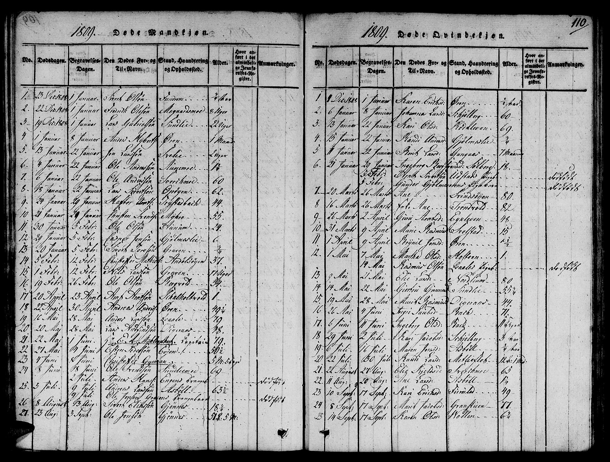 Ministerialprotokoller, klokkerbøker og fødselsregistre - Sør-Trøndelag, SAT/A-1456/668/L0803: Parish register (official) no. 668A03, 1800-1826, p. 110