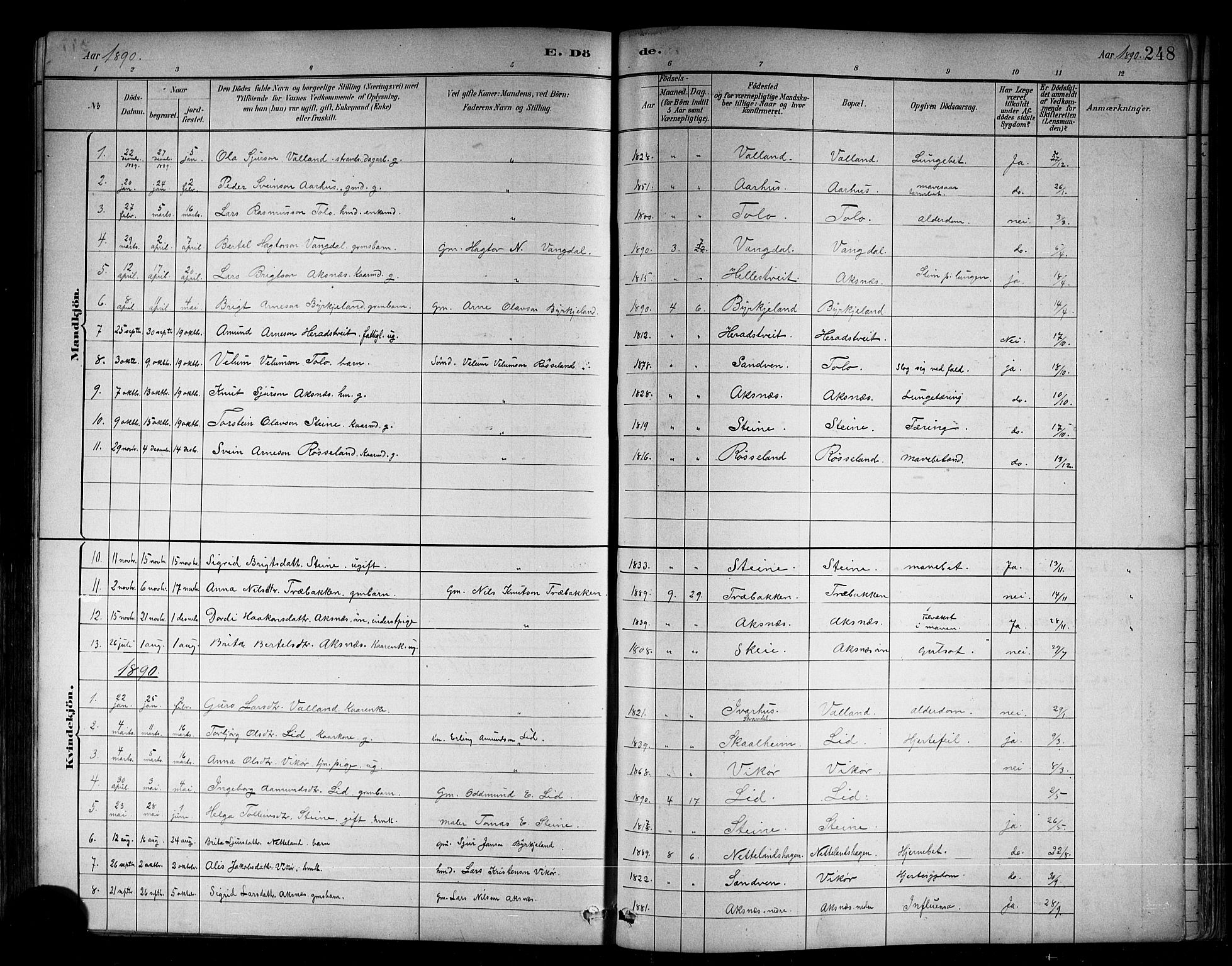 Kvam sokneprestembete, AV/SAB-A-76201/H/Hab: Parish register (copy) no. B 3, 1884-1916, p. 248