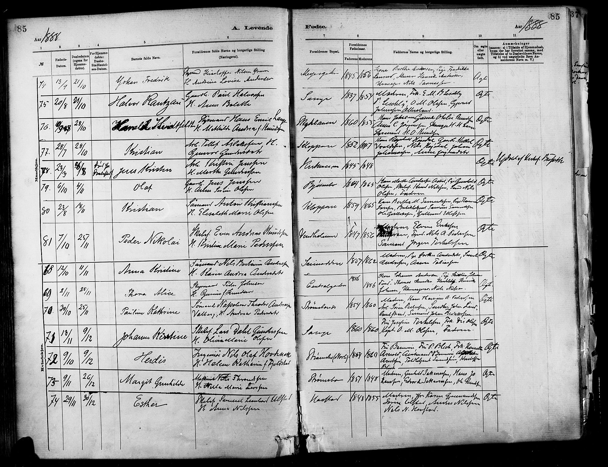Barbu sokneprestkontor, AV/SAK-1111-0003/F/Fa/L0002: Parish register (official) no. A 2, 1883-1898, p. 85