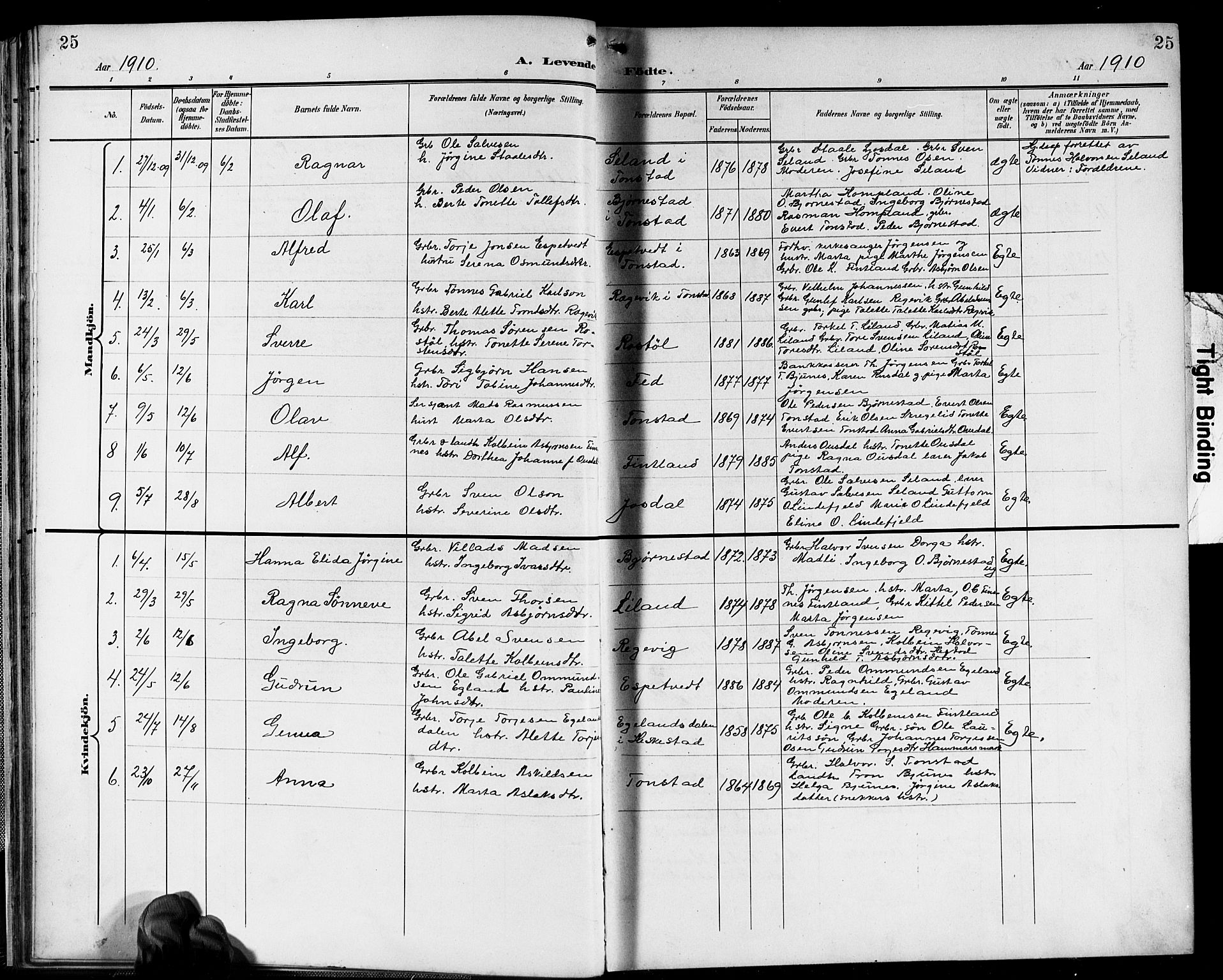 Sirdal sokneprestkontor, SAK/1111-0036/F/Fb/Fbb/L0004: Parish register (copy) no. B 4, 1895-1916, p. 25