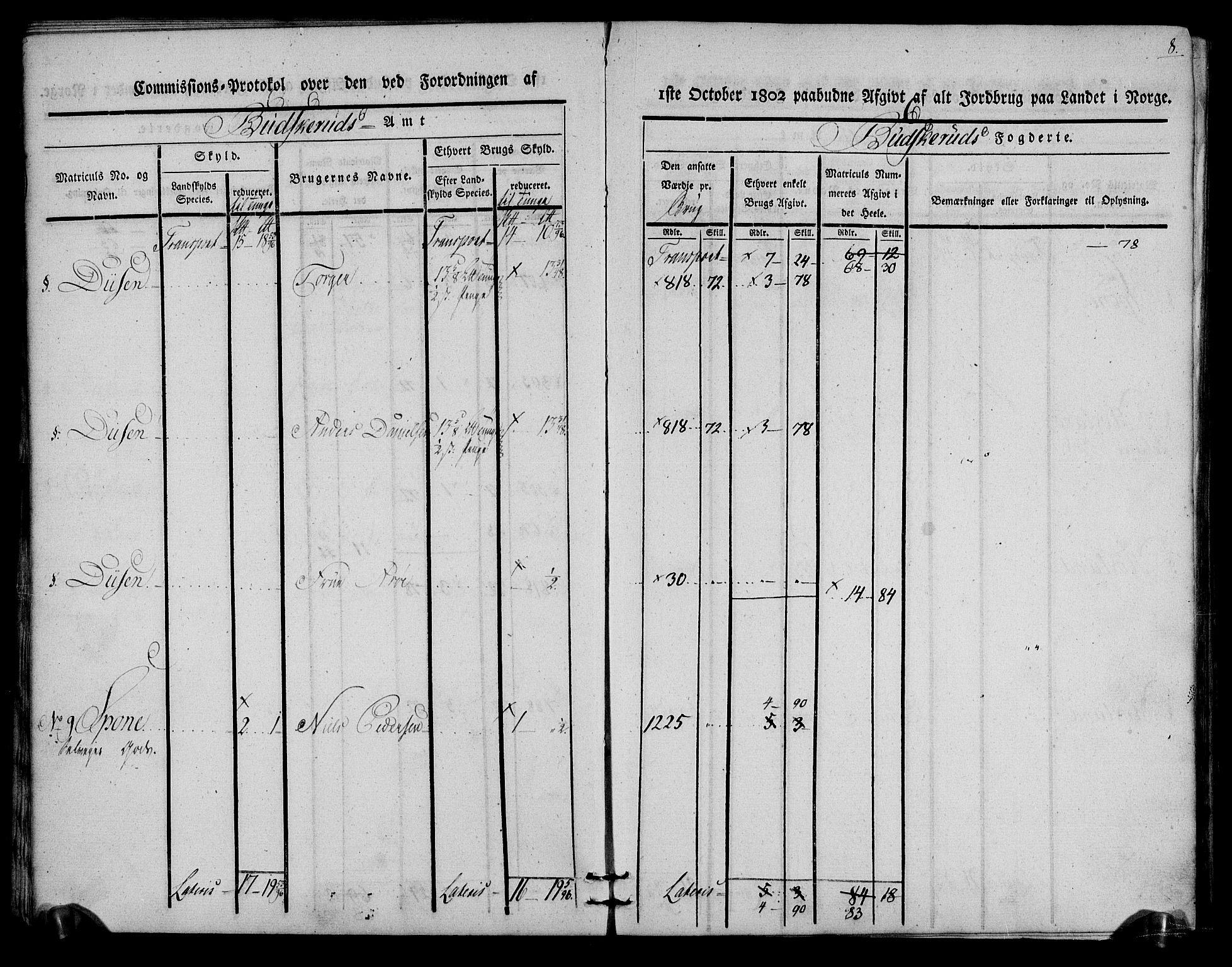 Rentekammeret inntil 1814, Realistisk ordnet avdeling, AV/RA-EA-4070/N/Ne/Nea/L0059: Buskerud fogderi. Kommisjonsprotokoll for Modum prestegjeld, 1803, p. 8