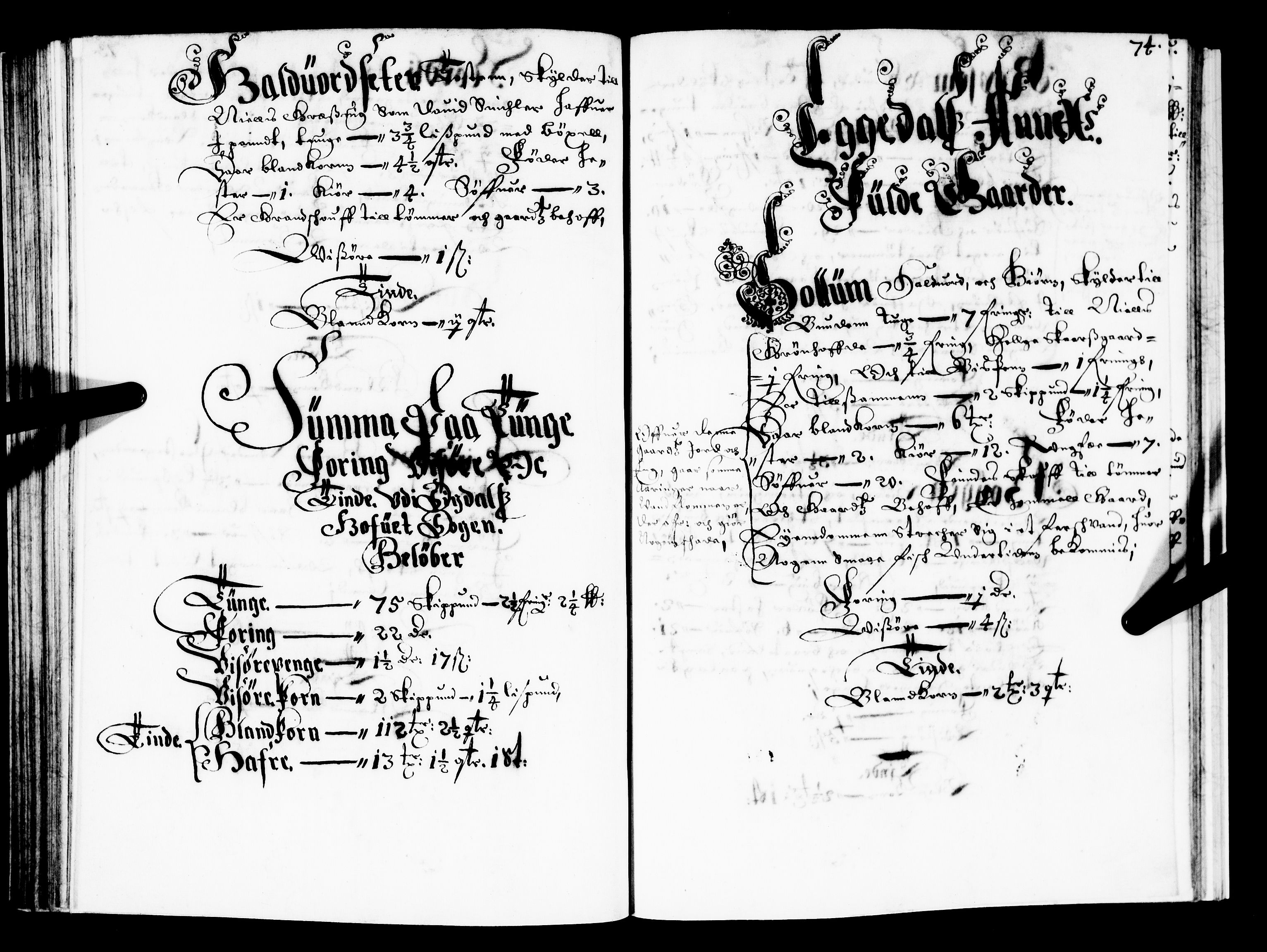 Rentekammeret inntil 1814, Realistisk ordnet avdeling, AV/RA-EA-4070/N/Nb/Nba/L0022: Buskerud fogderi, 1667, p. 73b-74a