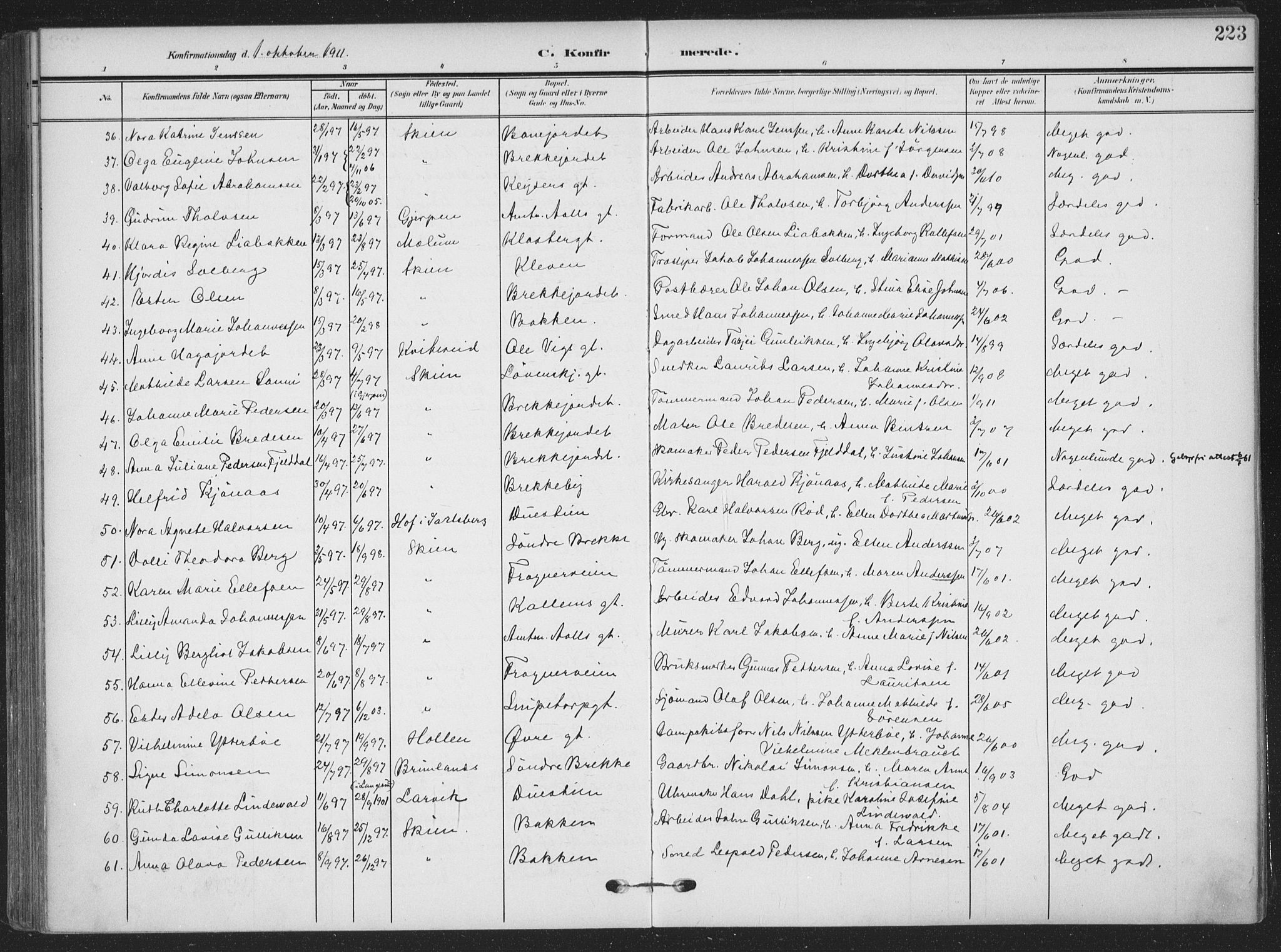 Skien kirkebøker, AV/SAKO-A-302/F/Fa/L0012: Parish register (official) no. 12, 1908-1914, p. 223