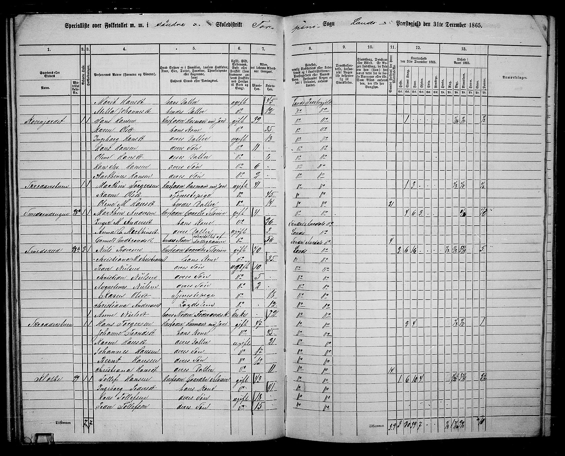 RA, 1865 census for Land, 1865, p. 107