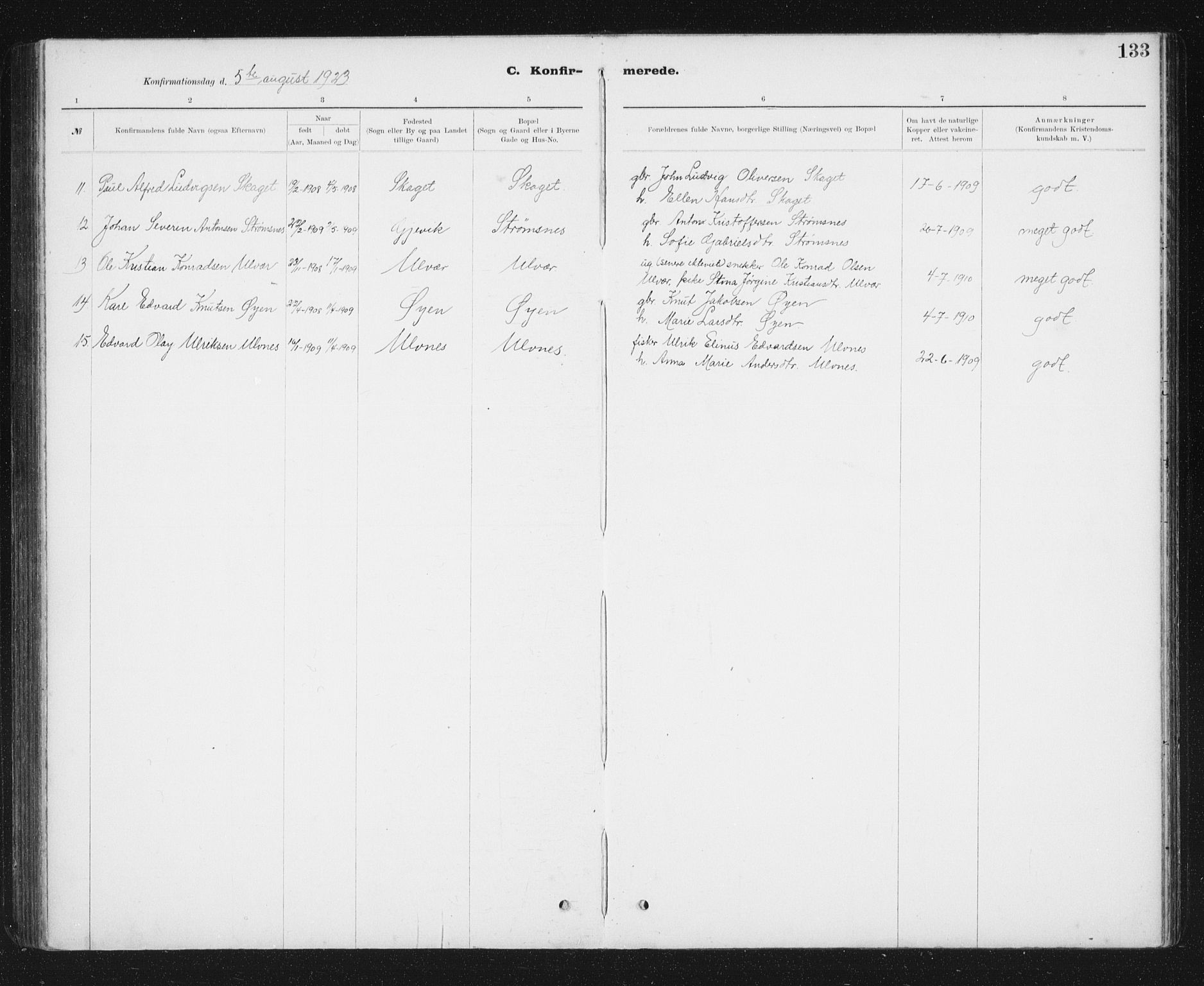 Ministerialprotokoller, klokkerbøker og fødselsregistre - Sør-Trøndelag, SAT/A-1456/637/L0563: Parish register (copy) no. 637C04, 1899-1940, p. 133