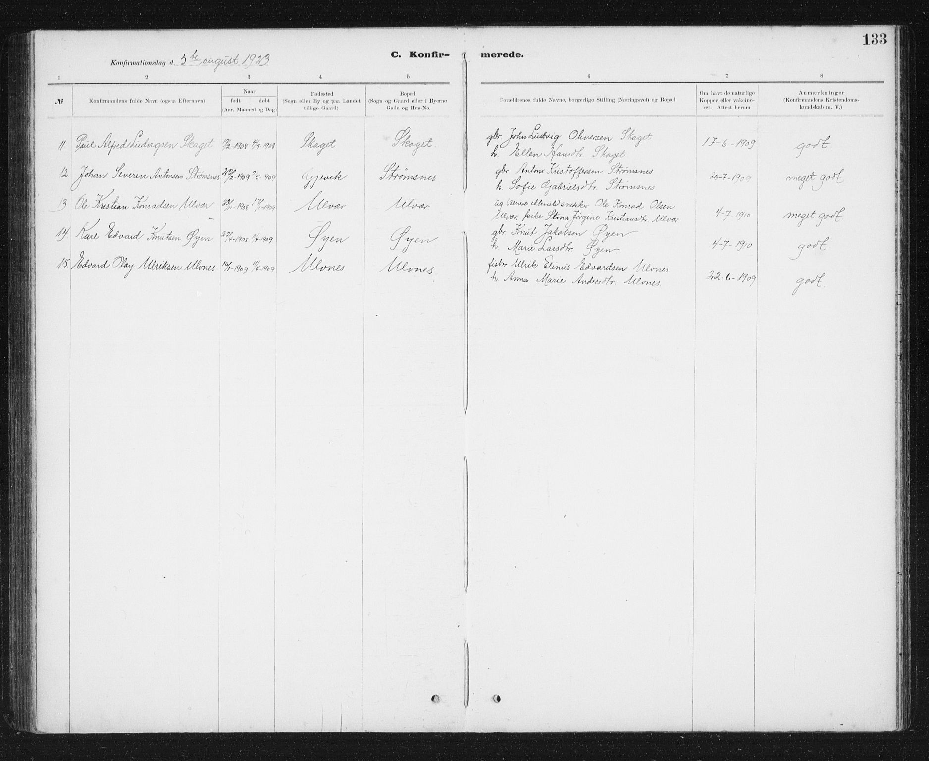 Ministerialprotokoller, klokkerbøker og fødselsregistre - Sør-Trøndelag, AV/SAT-A-1456/637/L0563: Parish register (copy) no. 637C04, 1899-1940, p. 133