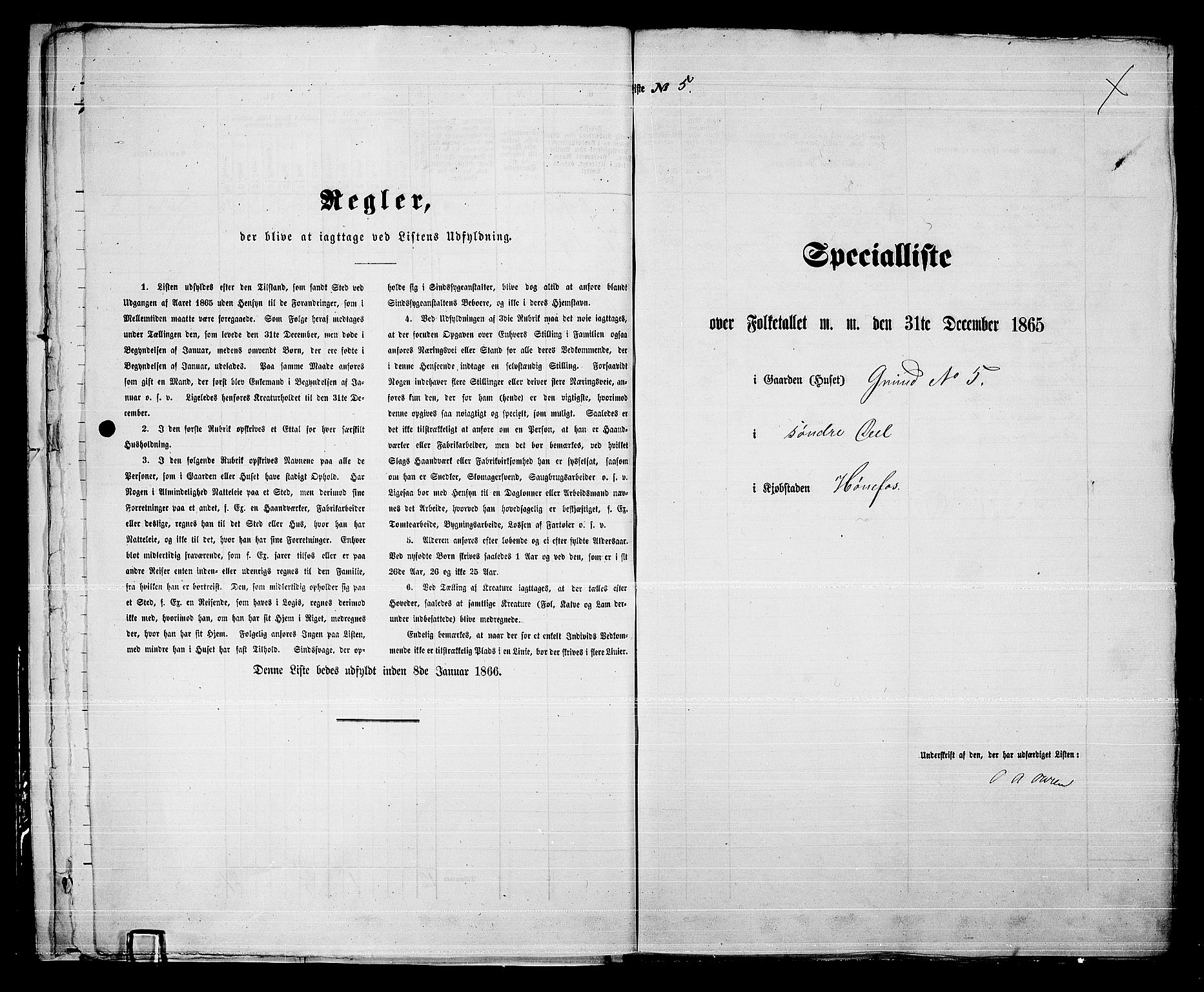 RA, 1865 census for Norderhov/Hønefoss, 1865, p. 15