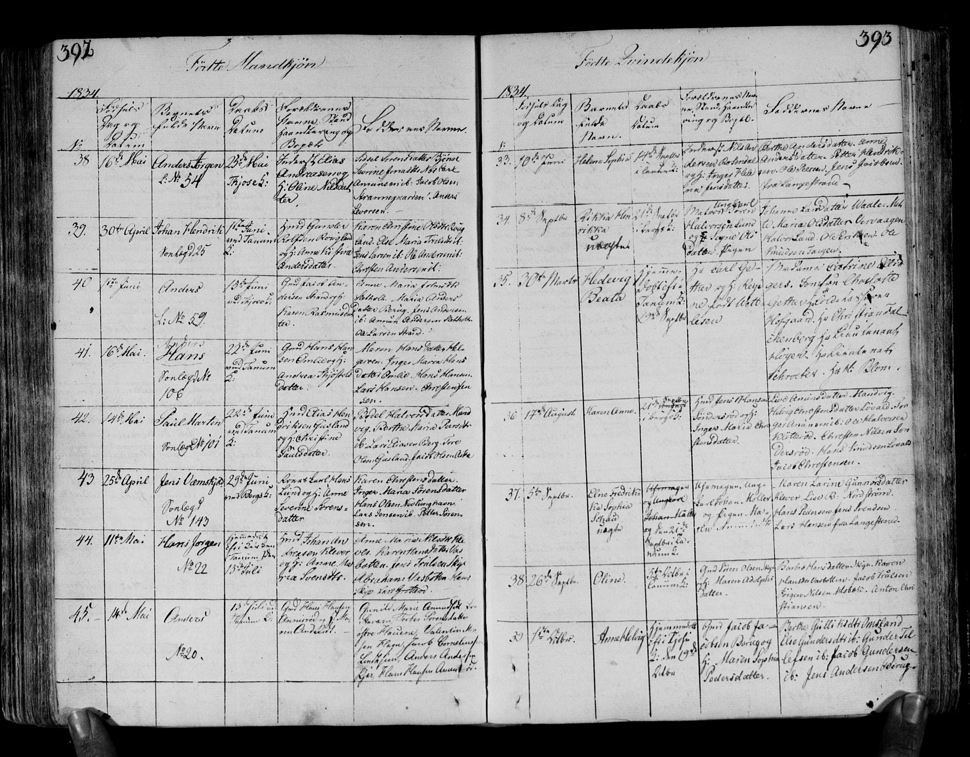 Brunlanes kirkebøker, SAKO/A-342/F/Fa/L0002: Parish register (official) no. I 2, 1802-1834, p. 392-393