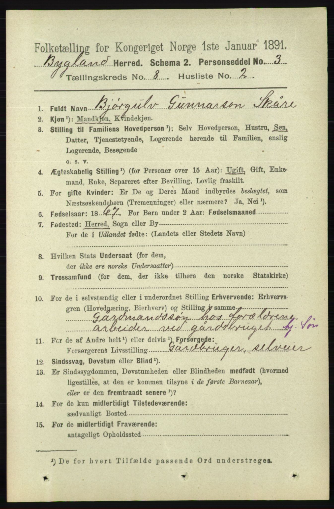 RA, 1891 census for 0938 Bygland, 1891, p. 1921