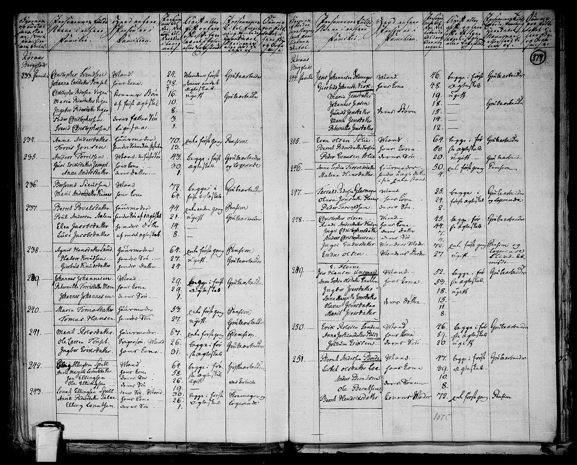 RA, 1801 census for 1640P Røros, 1801, p. 378b-379a