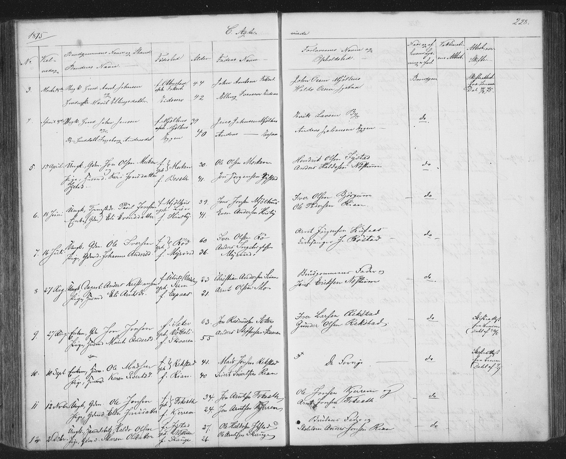 Ministerialprotokoller, klokkerbøker og fødselsregistre - Sør-Trøndelag, SAT/A-1456/667/L0798: Parish register (copy) no. 667C03, 1867-1929, p. 228