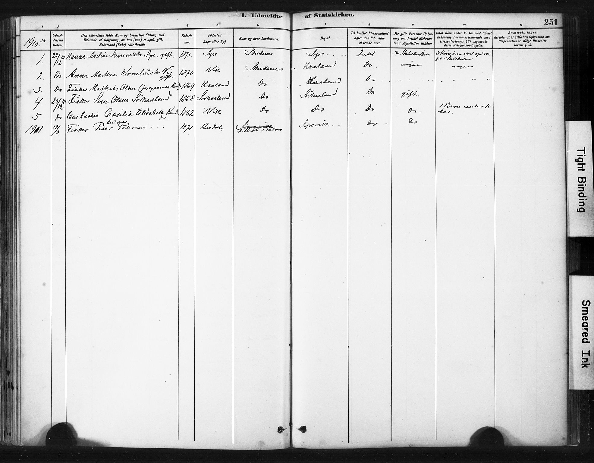 Skudenes sokneprestkontor, SAST/A -101849/H/Ha/Haa/L0009: Parish register (official) no. A 6, 1882-1912, p. 251