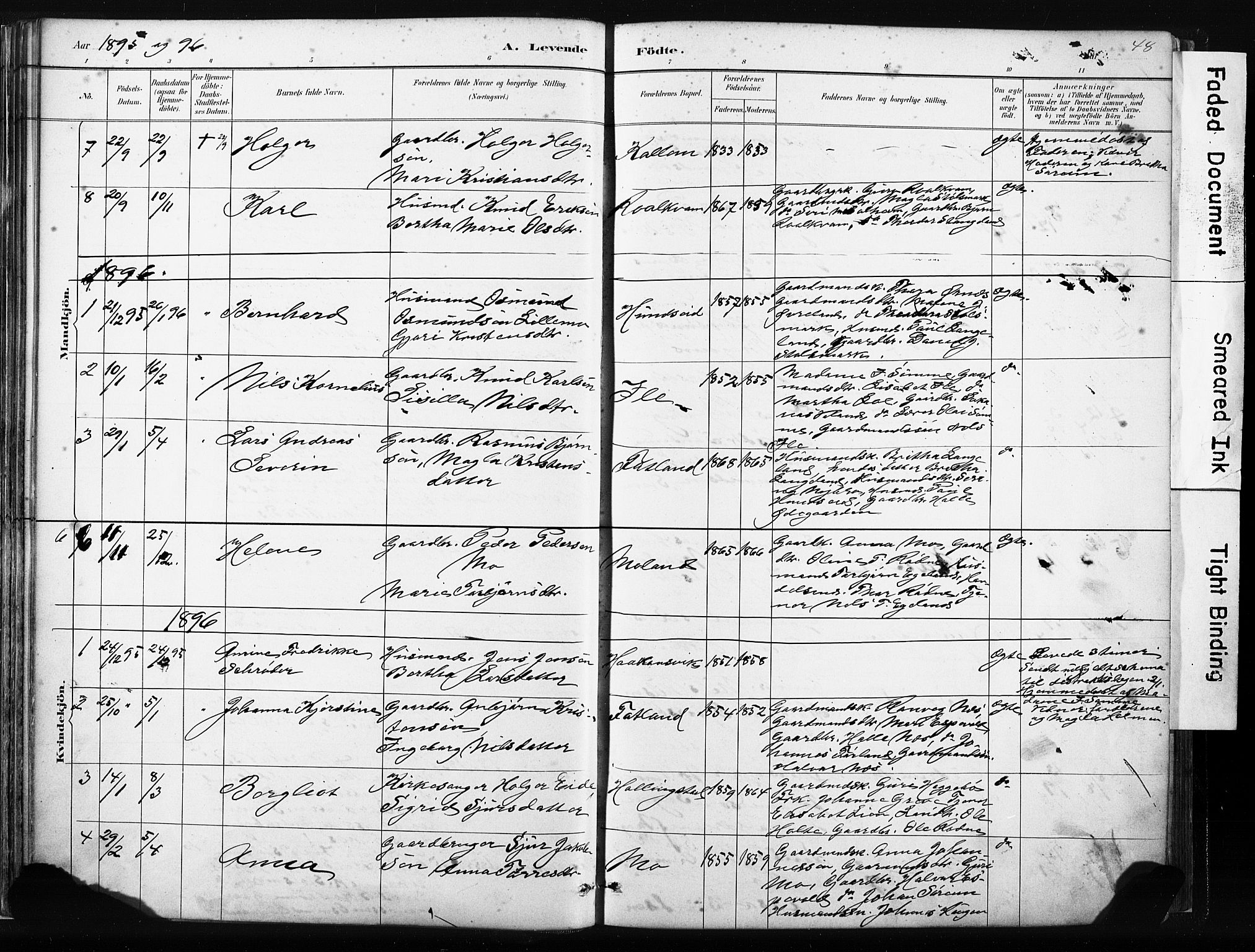 Vikedal sokneprestkontor, AV/SAST-A-101840/01/IV: Parish register (official) no. A 10, 1884-1907, p. 48