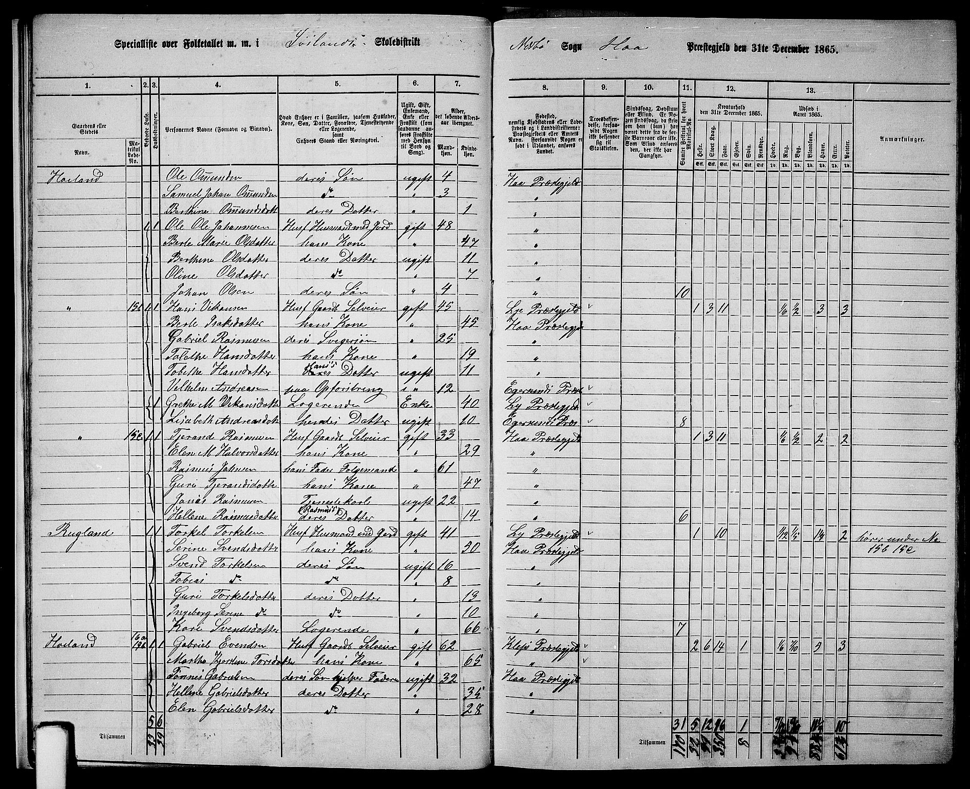 RA, 1865 census for Hå, 1865, p. 16