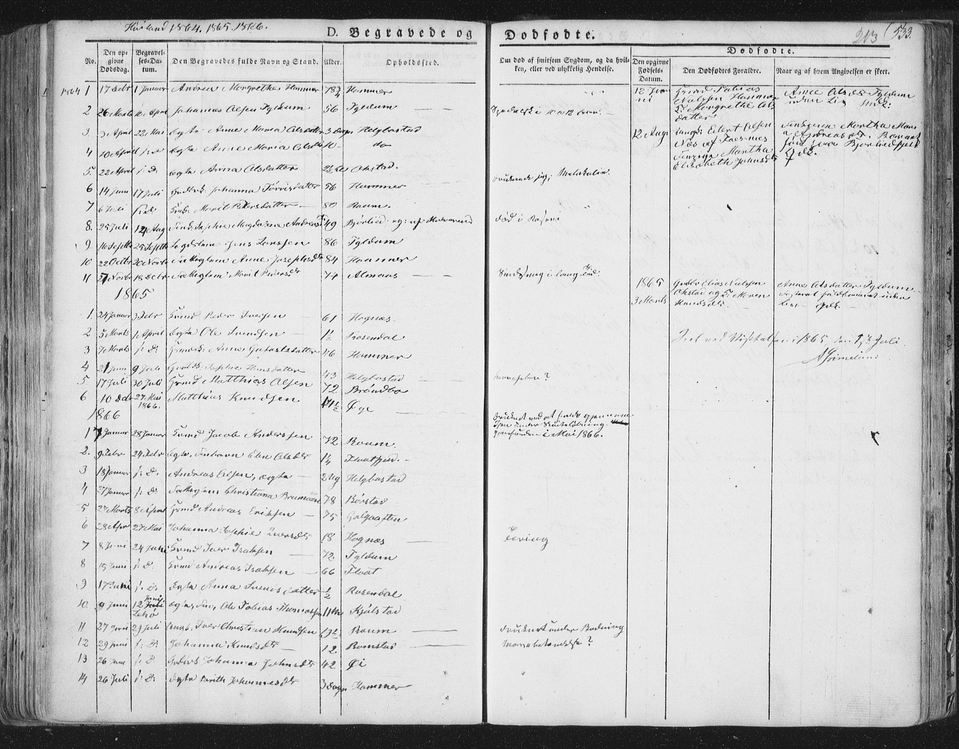 Ministerialprotokoller, klokkerbøker og fødselsregistre - Nord-Trøndelag, SAT/A-1458/758/L0513: Parish register (official) no. 758A02 /2, 1839-1868, p. 213