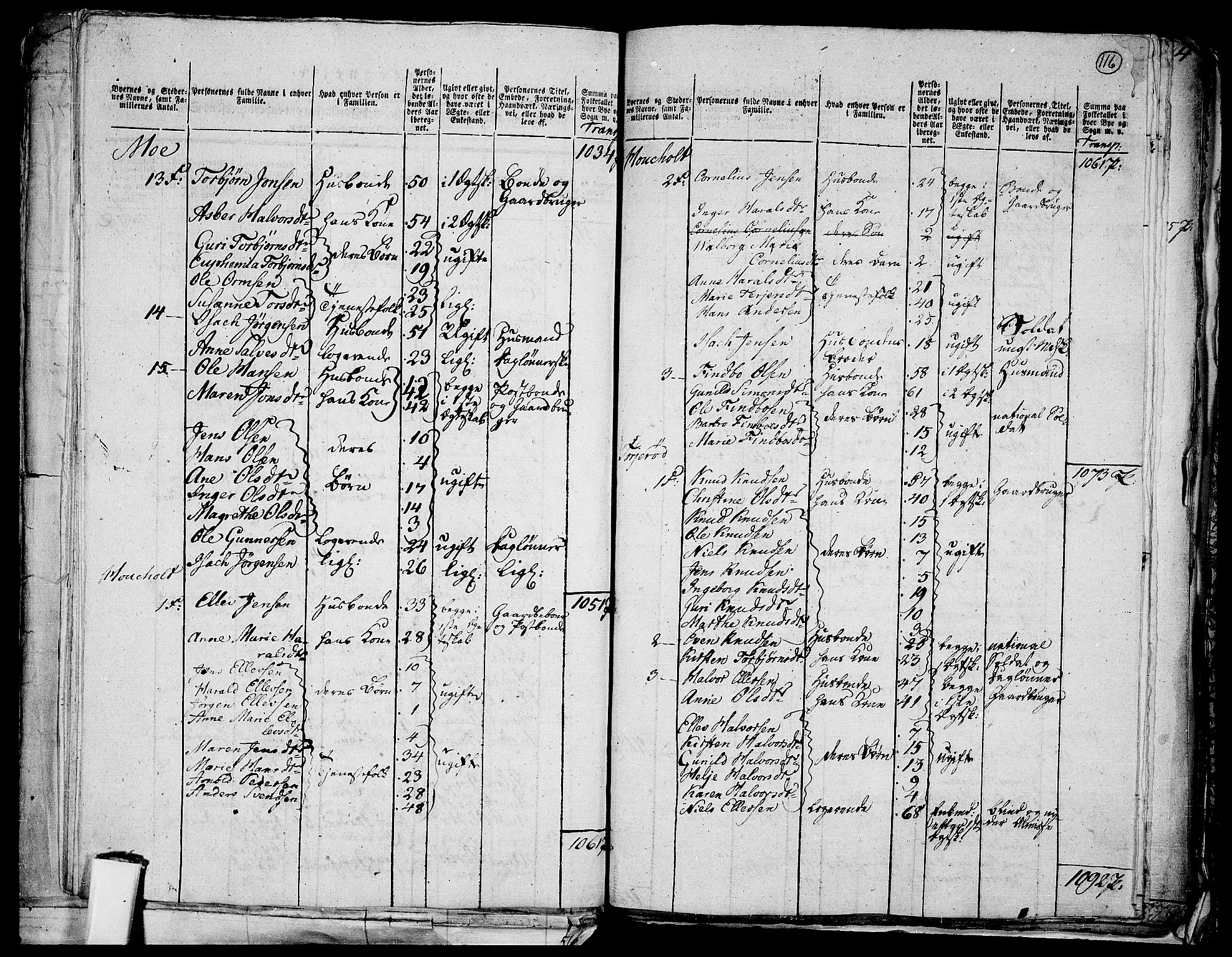 RA, 1801 census for 0801P Kragerø, 1801, p. 115b-116a