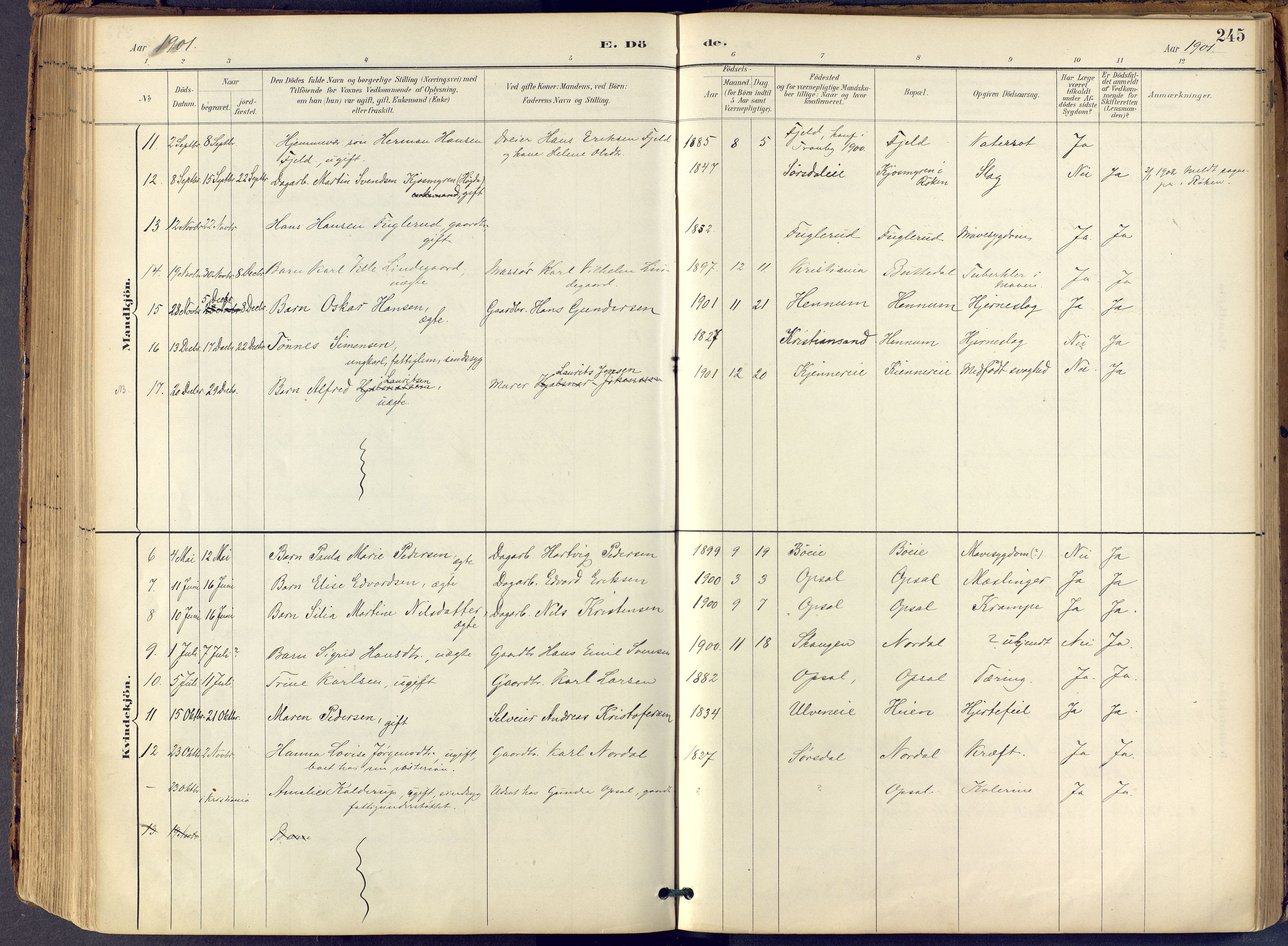 Lier kirkebøker, SAKO/A-230/F/Fb/L0001: Parish register (official) no. II 1, 1883-1910, p. 245