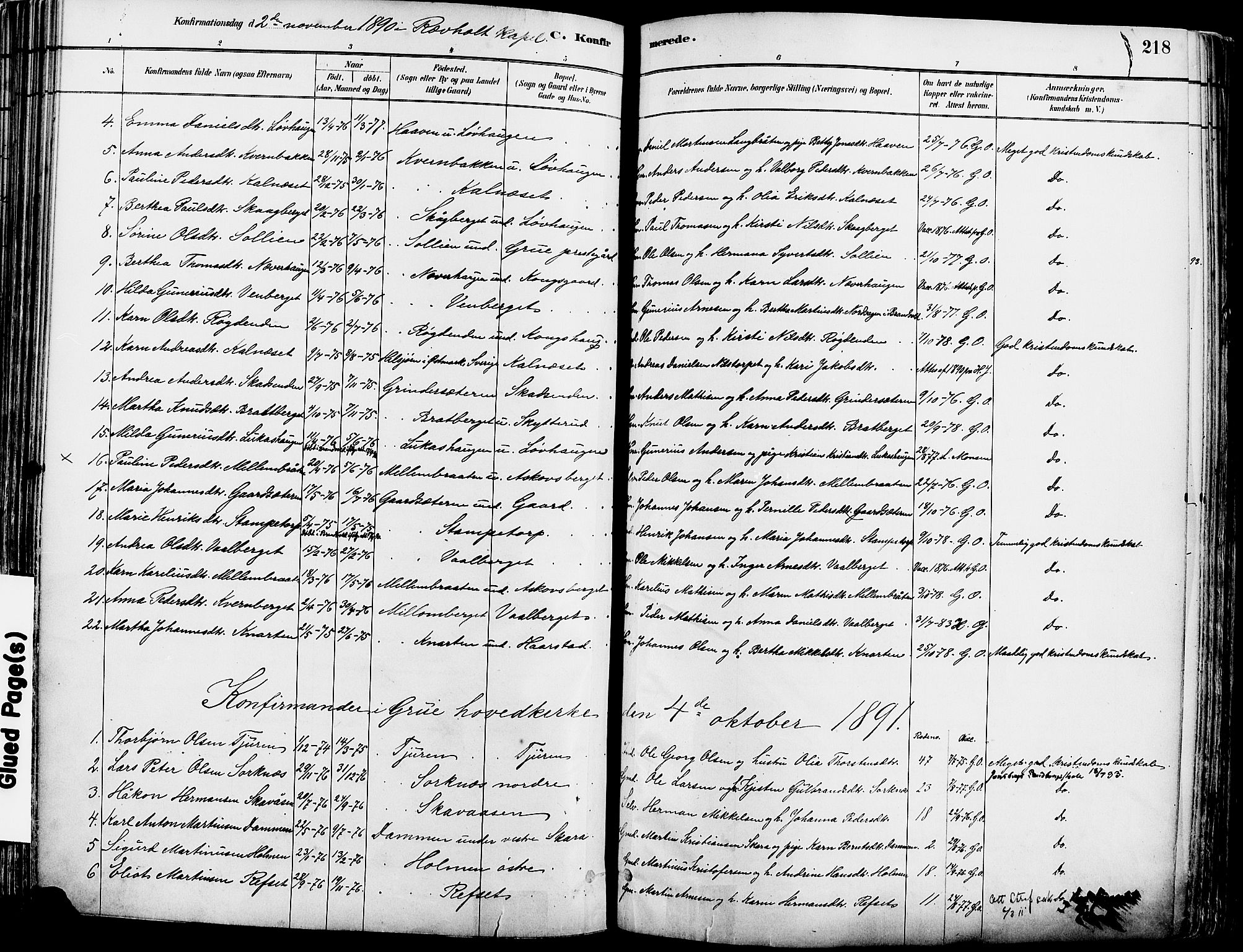 Grue prestekontor, SAH/PREST-036/H/Ha/Haa/L0012: Parish register (official) no. 12, 1881-1897, p. 218