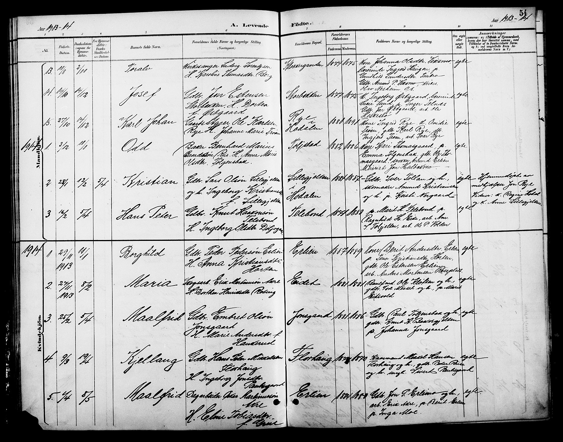 Tolga prestekontor, SAH/PREST-062/L/L0009: Parish register (copy) no. 9, 1892-1919, p. 54