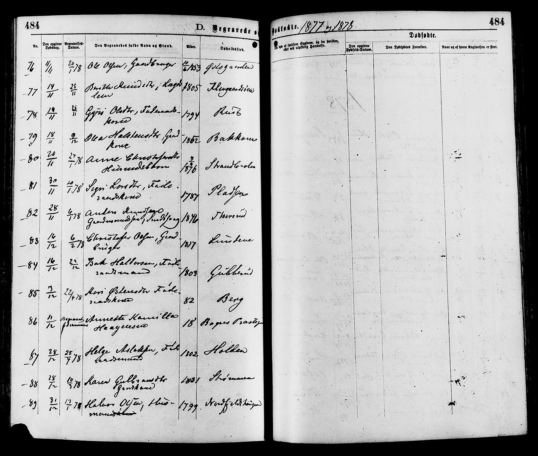 Sør-Aurdal prestekontor, SAH/PREST-128/H/Ha/Haa/L0008: Parish register (official) no. 8, 1877-1885, p. 484