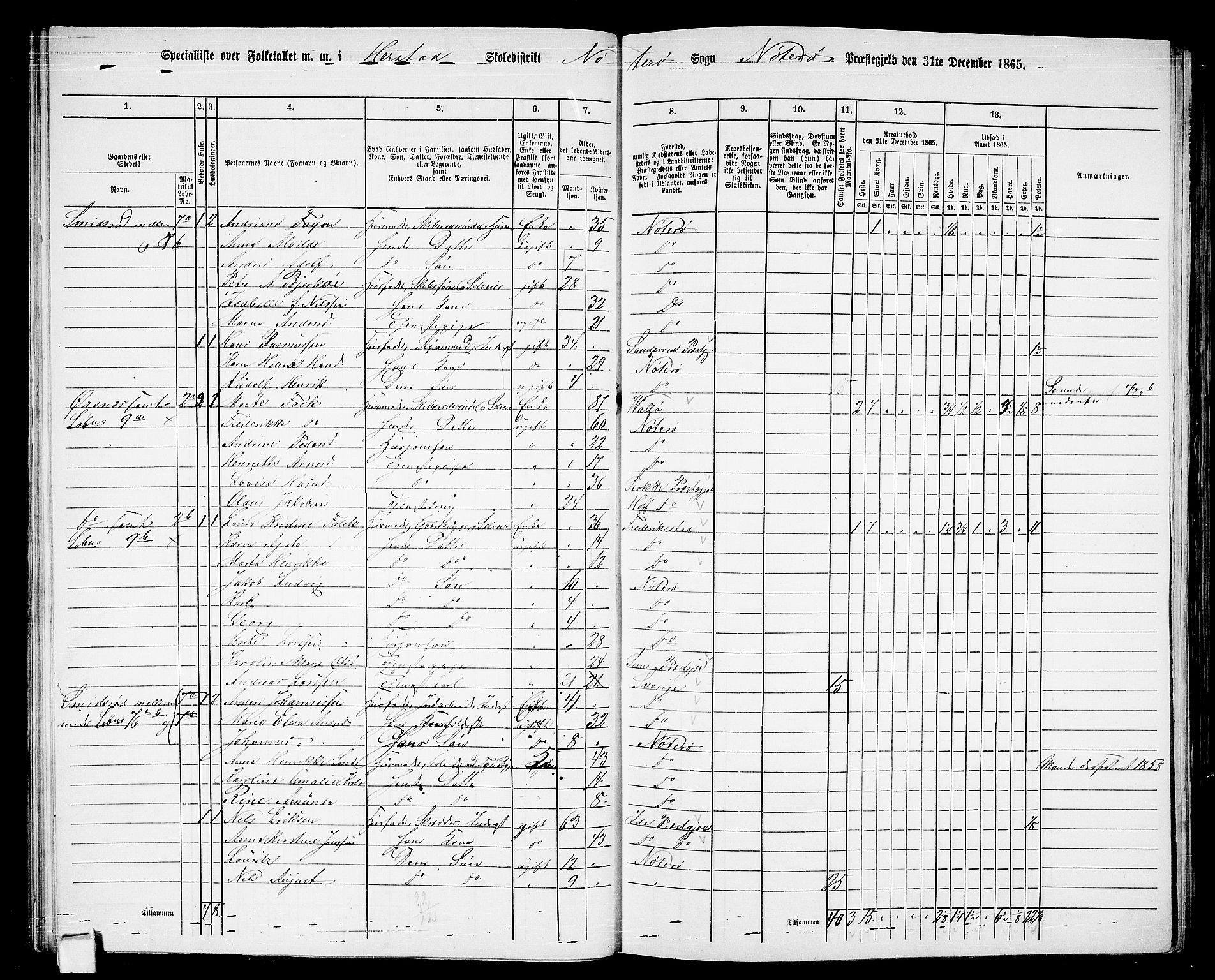 RA, 1865 census for Nøtterøy, 1865, p. 43