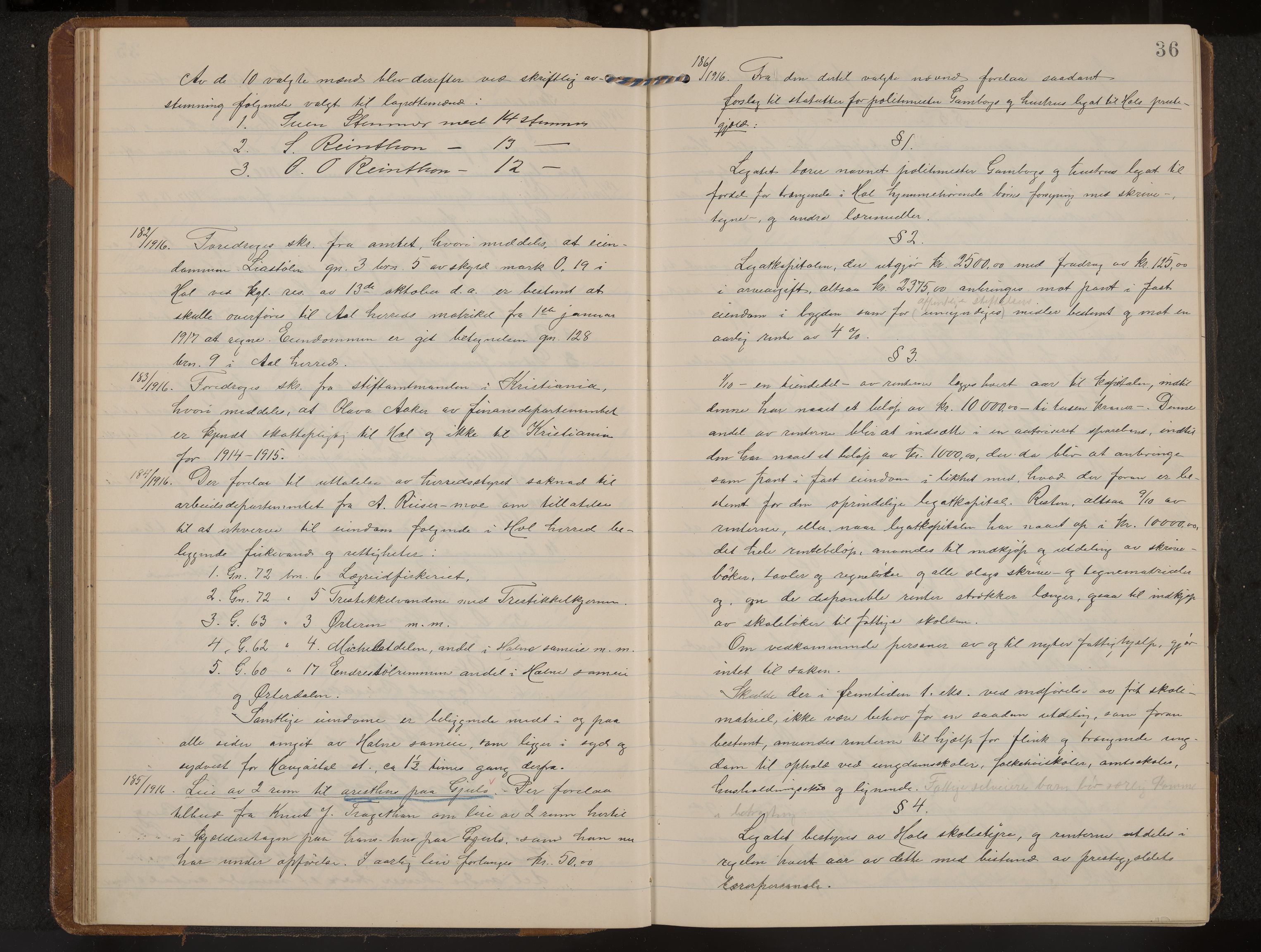 Hol formannskap og sentraladministrasjon, IKAK/0620021-1/A/L0006: Møtebok, 1916-1922, p. 36