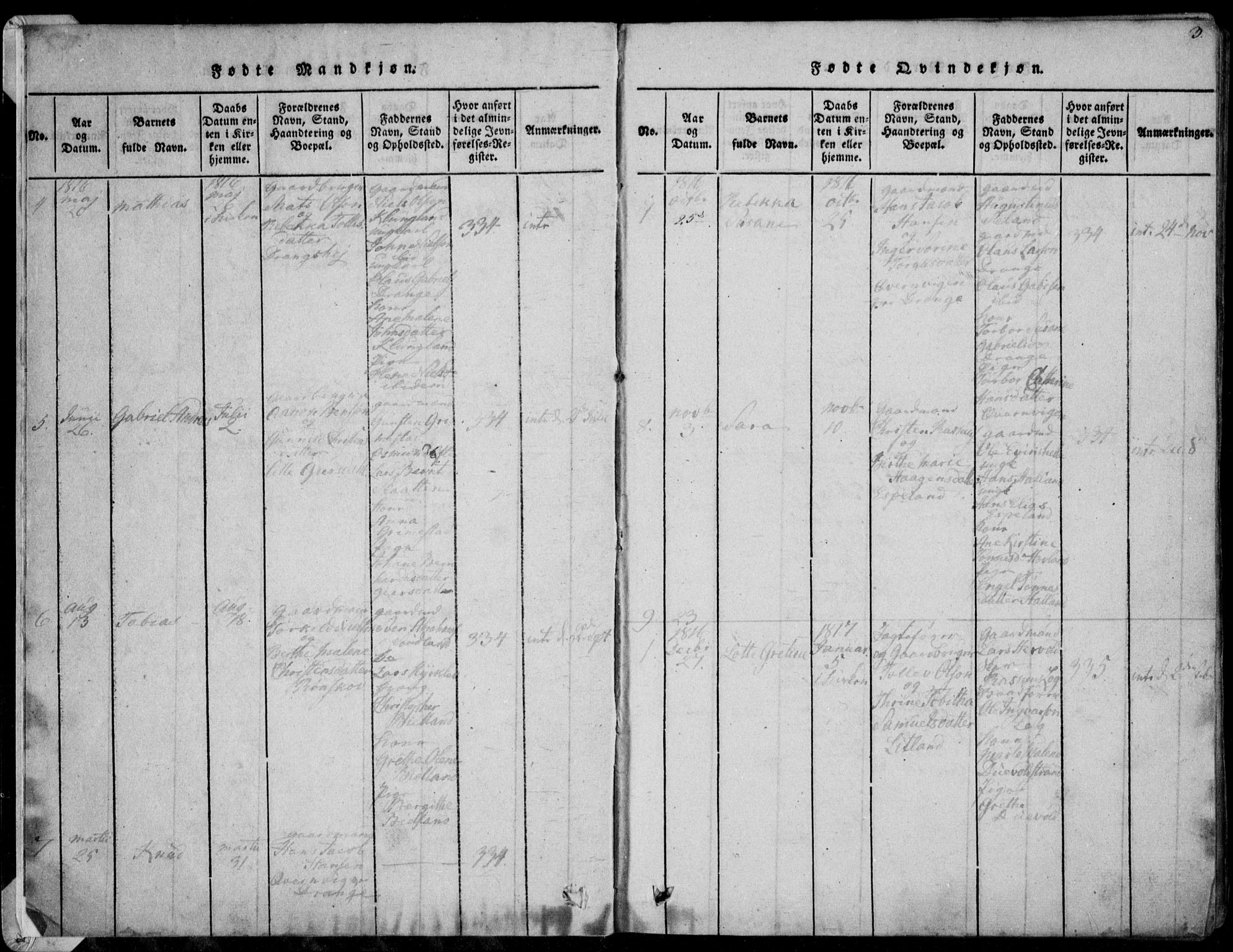 Herad sokneprestkontor, AV/SAK-1111-0018/F/Fa/Faa/L0003: Parish register (official) no. A 3, 1816-1844, p. 3