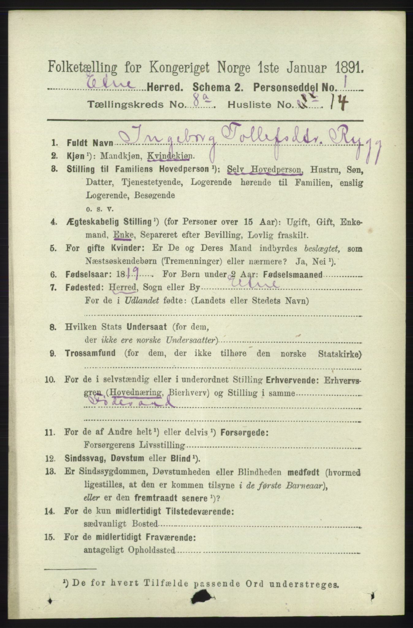 RA, 1891 census for 1211 Etne, 1891, p. 1596