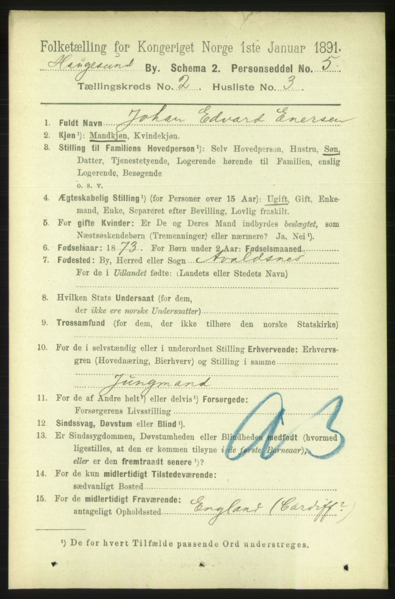 RA, 1891 census for 1106 Haugesund, 1891, p. 1025