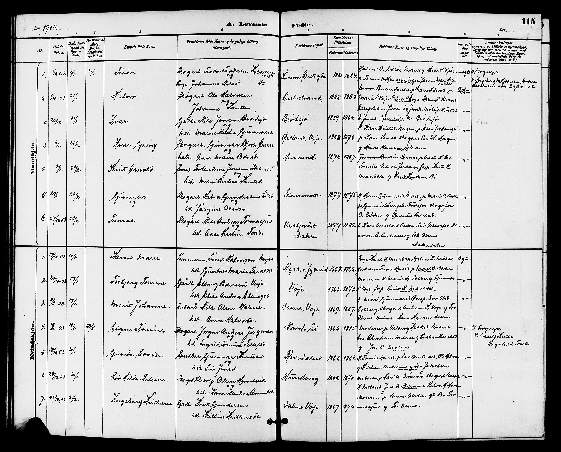 Drangedal kirkebøker, SAKO/A-258/G/Ga/L0003: Parish register (copy) no. I 3, 1887-1906, p. 115