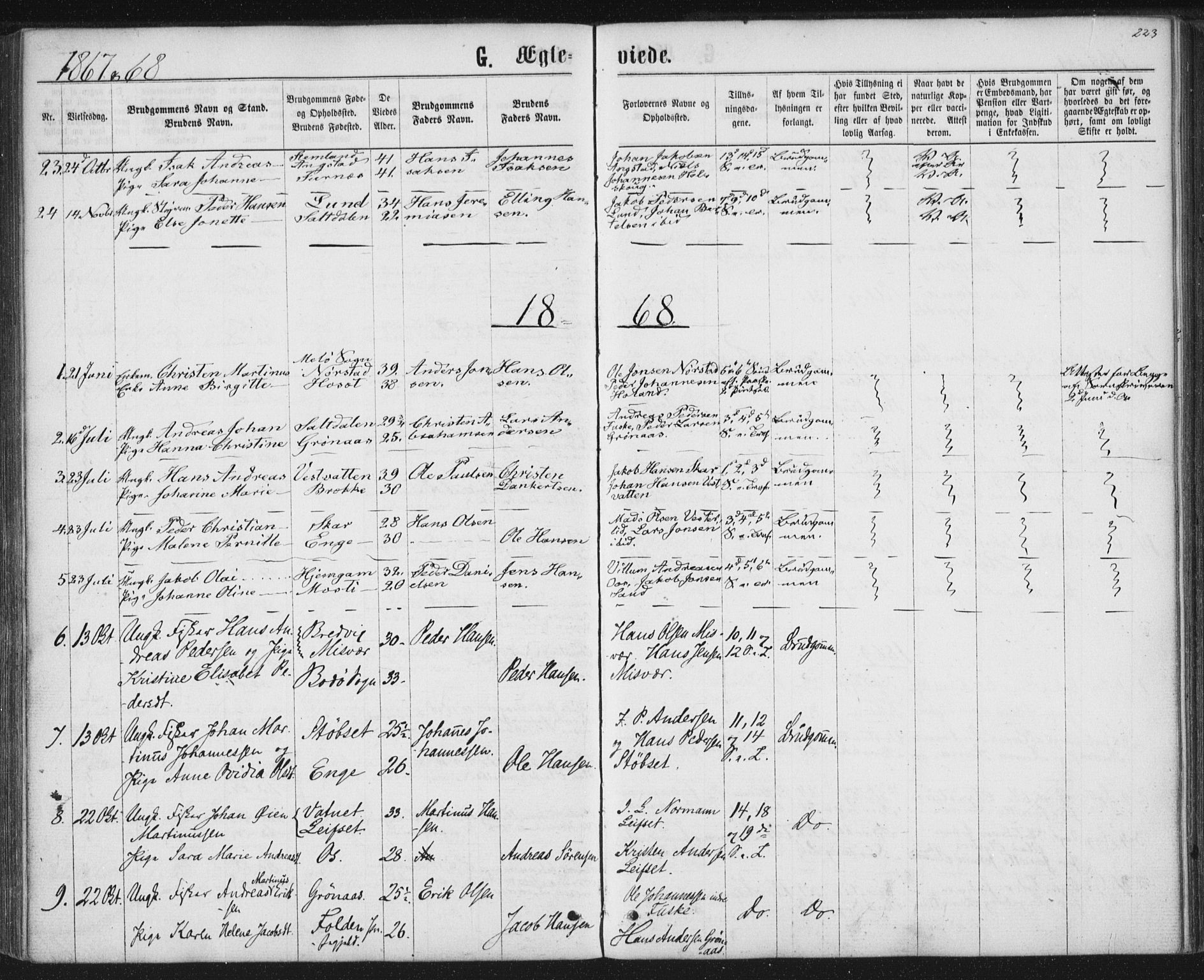 Ministerialprotokoller, klokkerbøker og fødselsregistre - Nordland, SAT/A-1459/852/L0739: Parish register (official) no. 852A09, 1866-1877, p. 223