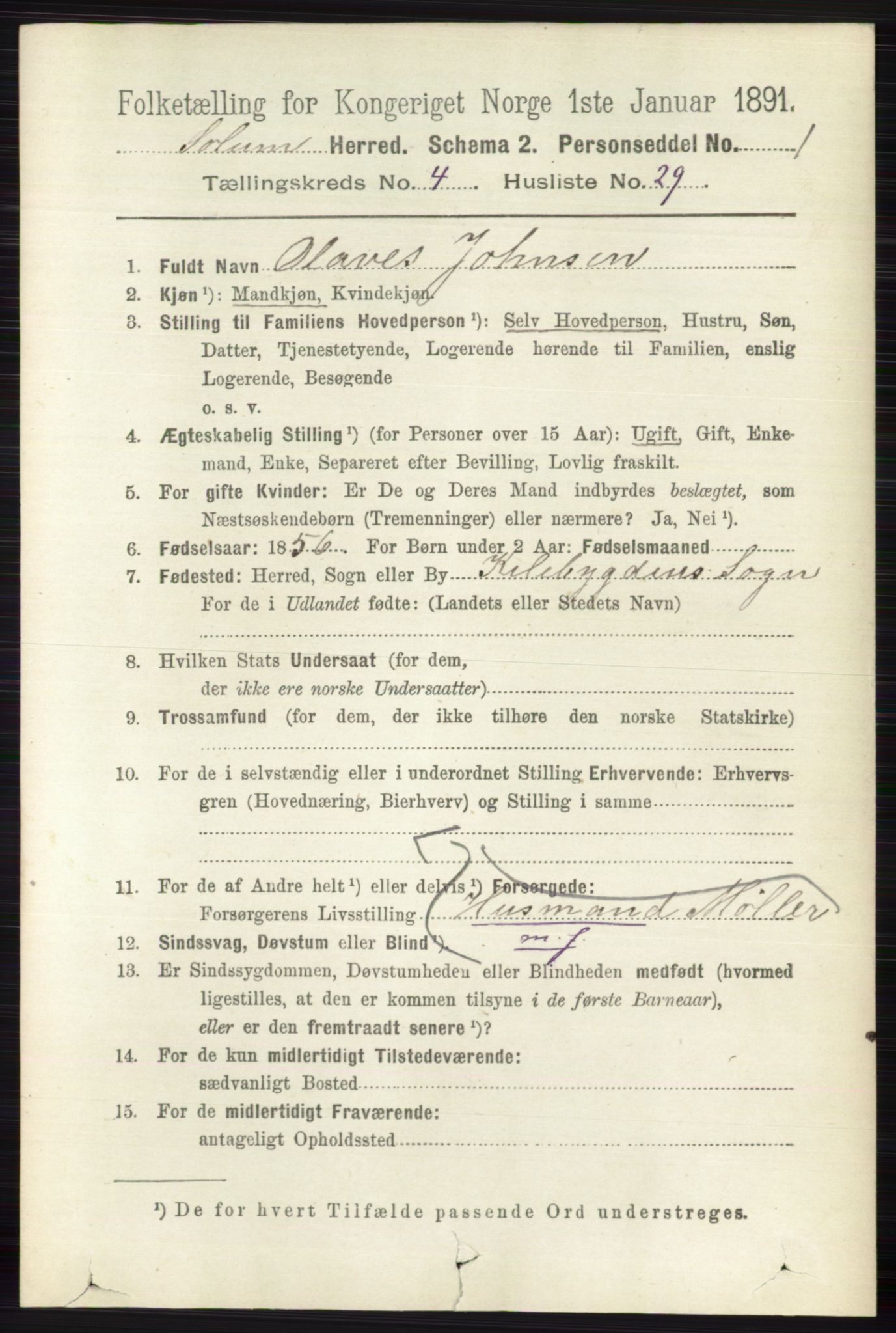 RA, 1891 census for 0818 Solum, 1891, p. 791