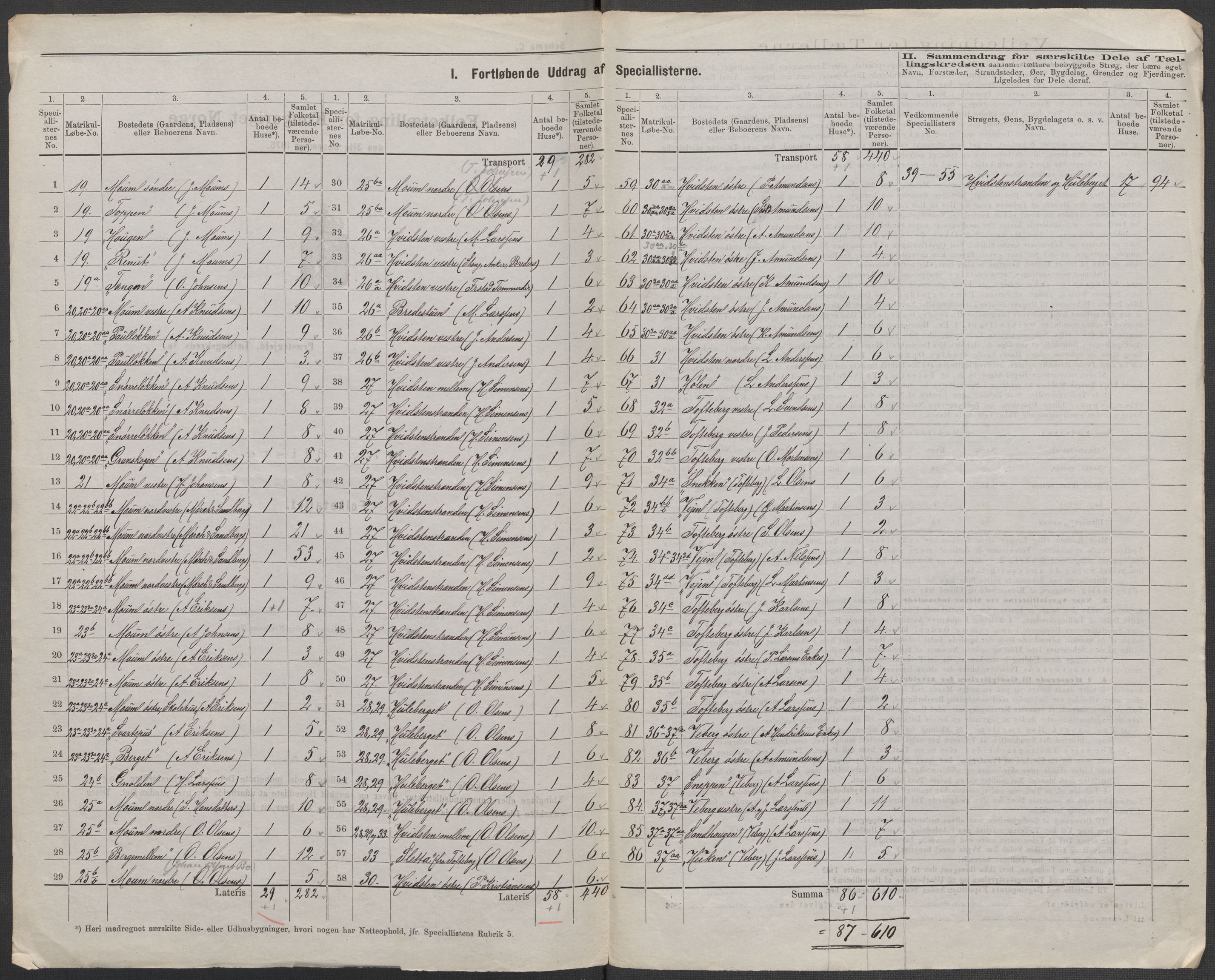 RA, 1875 census for 0113P Borge, 1875, p. 13