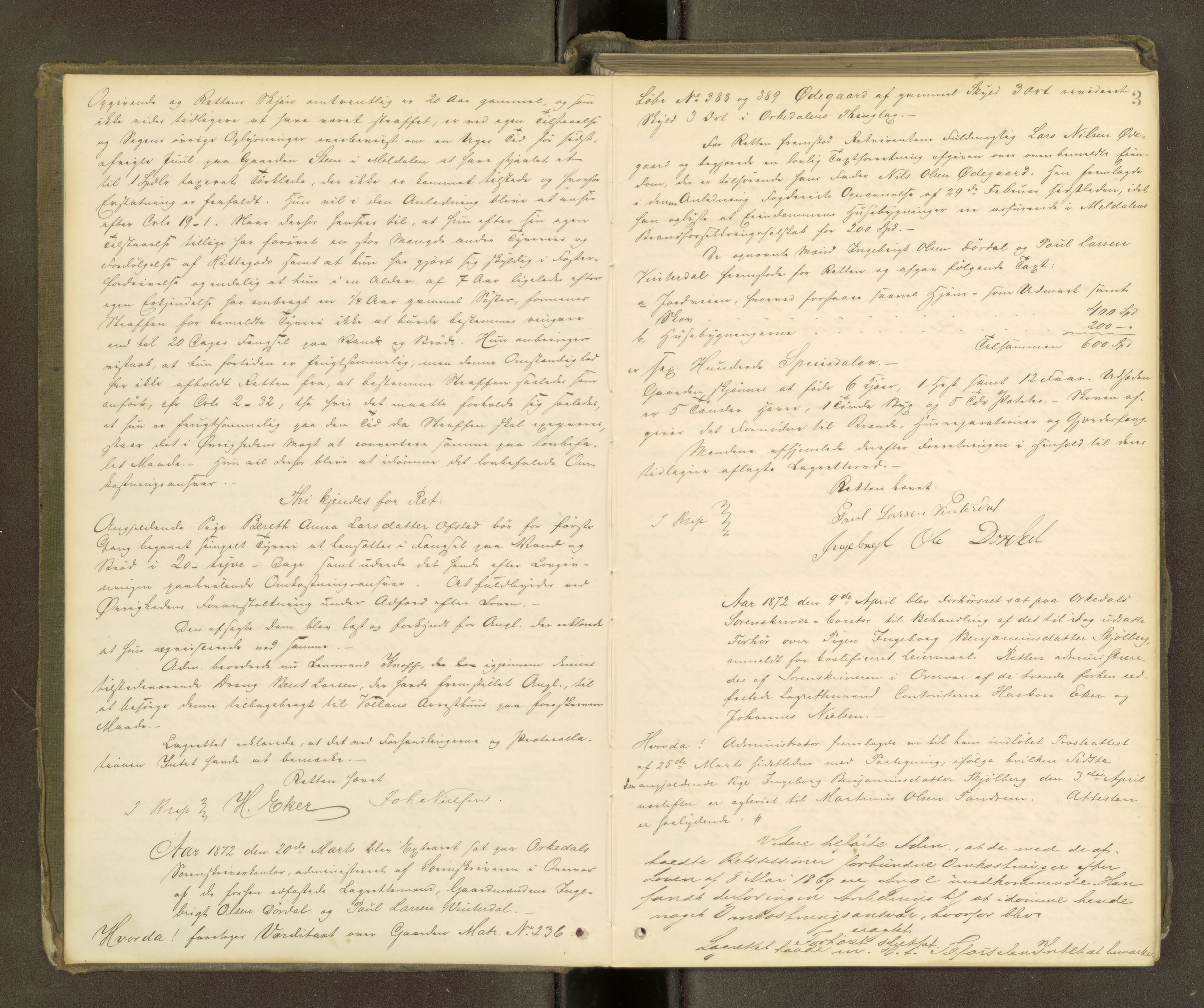 Orkdal sorenskriveri, SAT/A-4169/1/1/1B/L0010: Ekstrarettsprotokoll, 1872-1875, p. 2b-3a