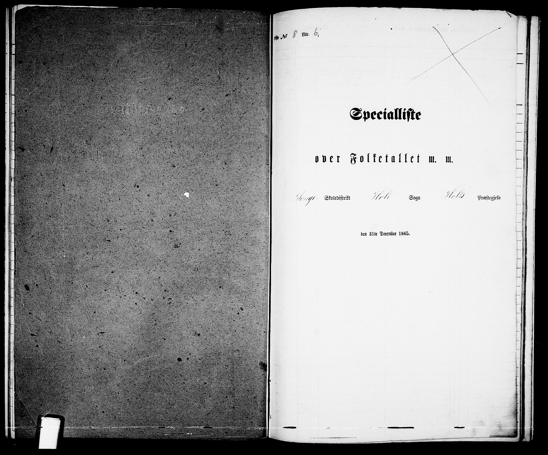 RA, 1865 census for Holt/Holt, 1865, p. 165