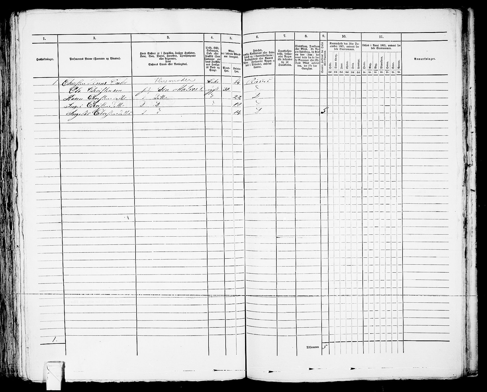 RA, 1865 census for Risør/Risør, 1865, p. 300