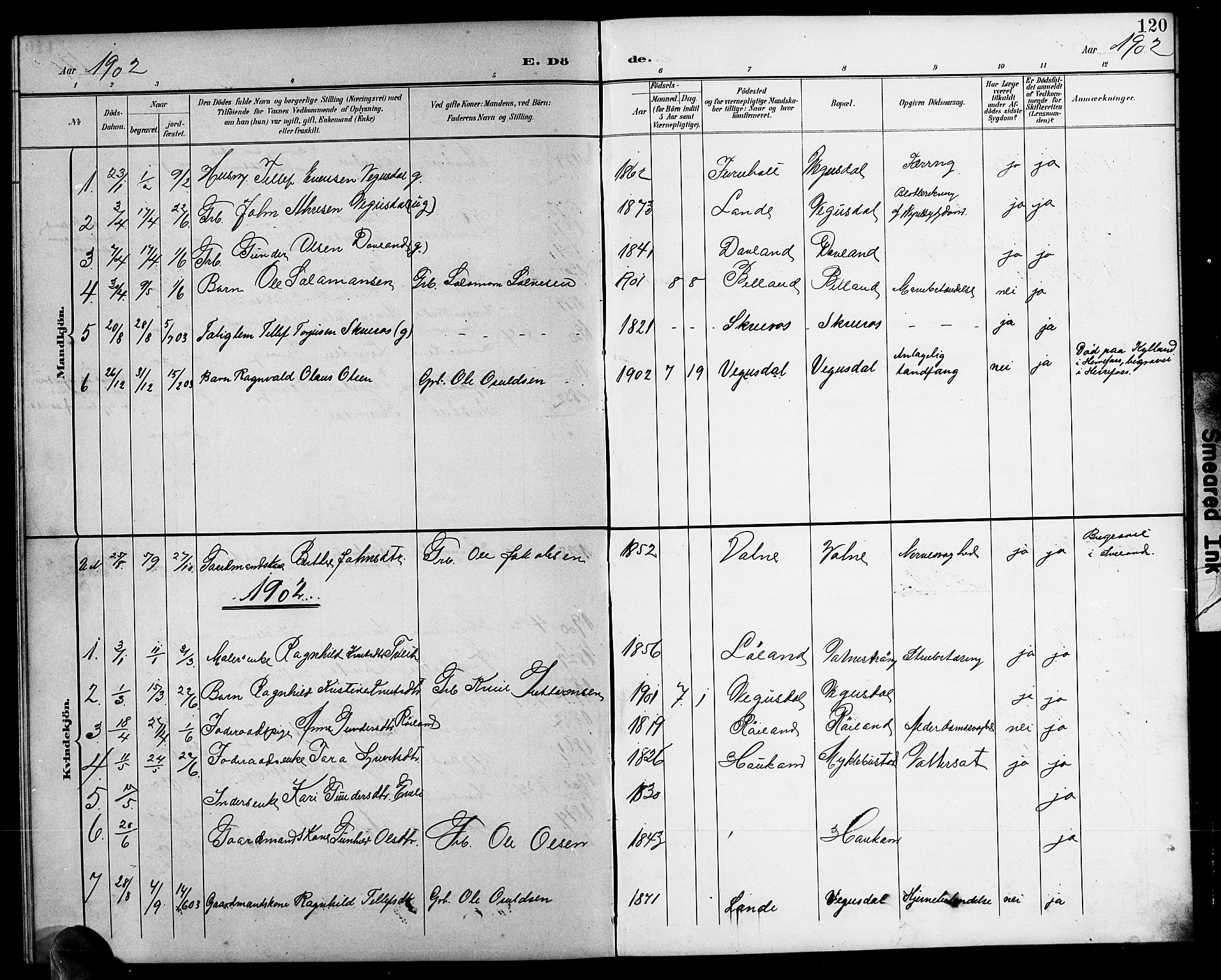 Herefoss sokneprestkontor, SAK/1111-0019/F/Fb/Fbb/L0003: Parish register (copy) no. B 3, 1892-1917, p. 120