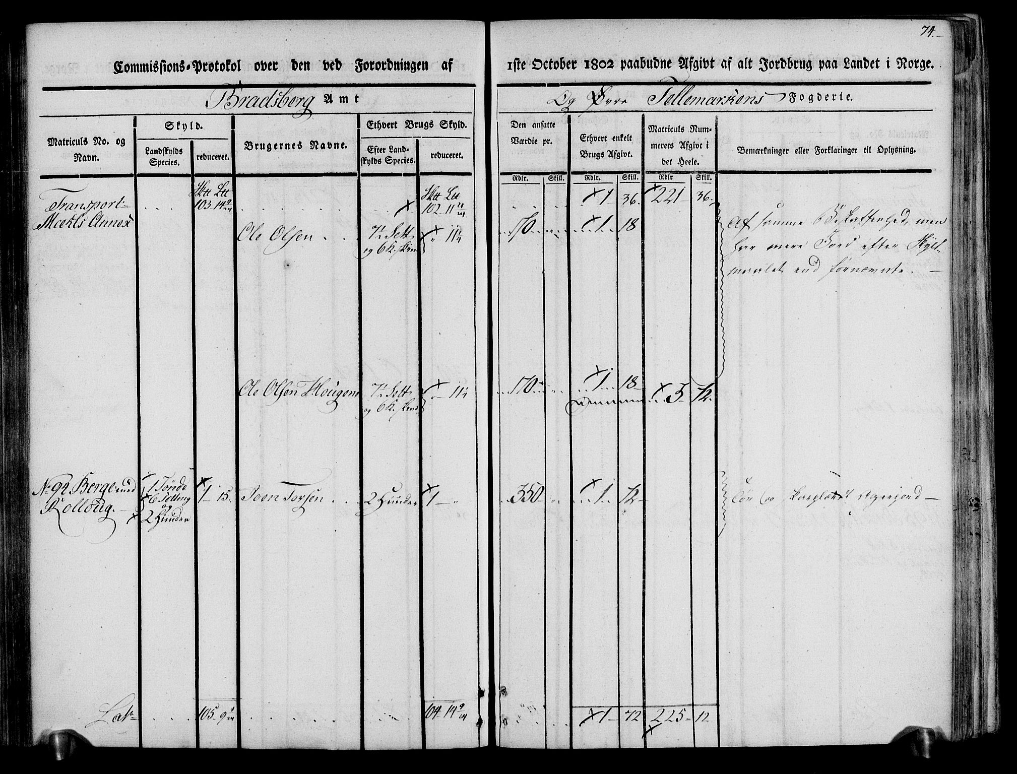 Rentekammeret inntil 1814, Realistisk ordnet avdeling, AV/RA-EA-4070/N/Ne/Nea/L0074: Øvre Telemarken fogderi. Kommisjonsprotokoll for fogderiets østre del - Tinn, Hjartdal og Seljord prestegjeld., 1803, p. 74