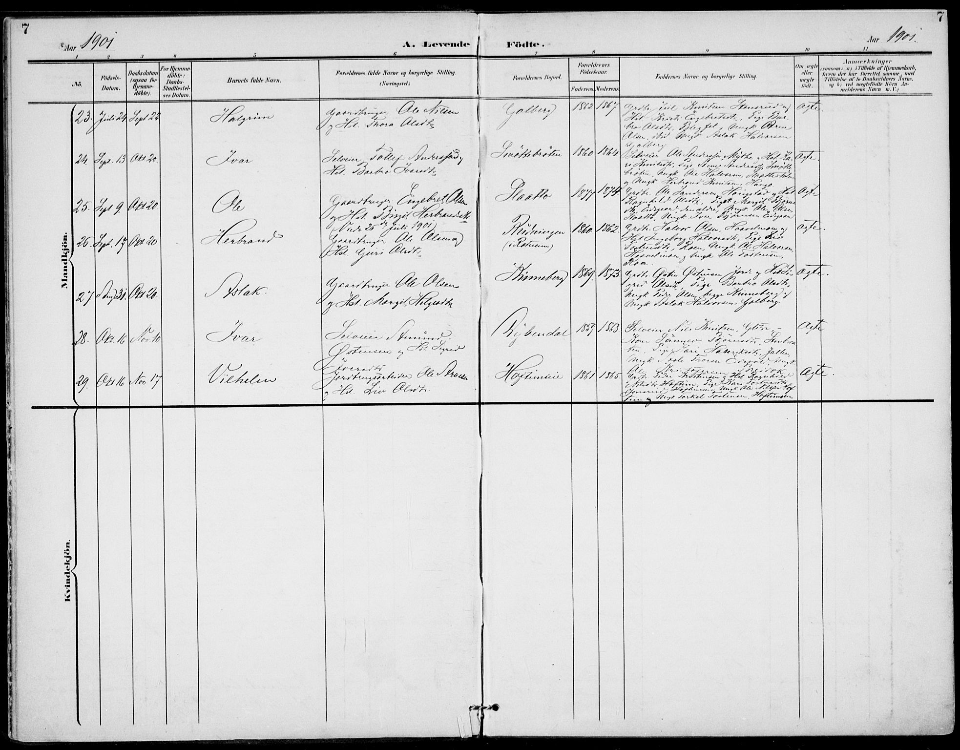 Gol kirkebøker, SAKO/A-226/F/Fa/L0006: Parish register (official) no. I 6, 1901-1918, p. 7