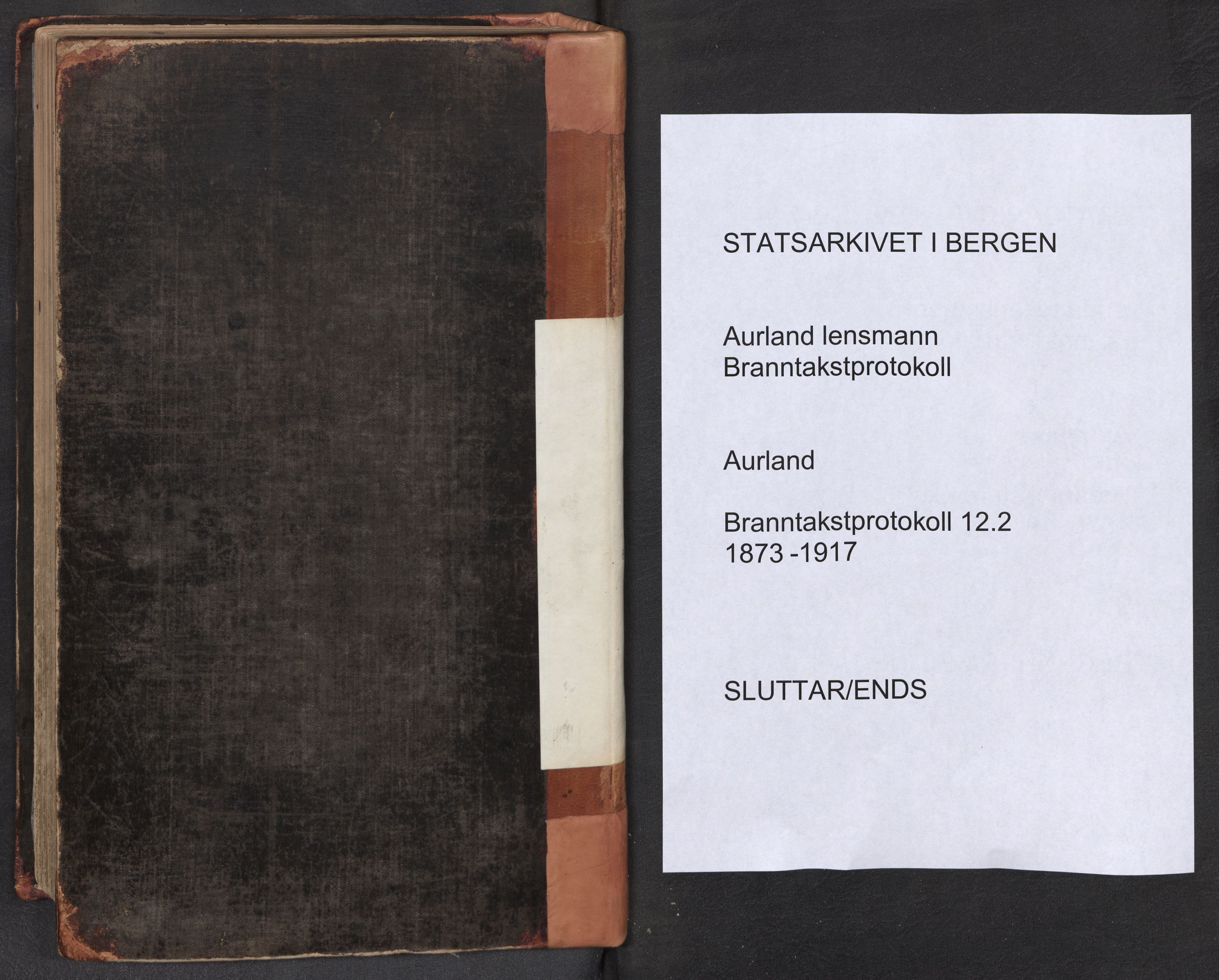 Lensmannen i Aurland, SAB/A-26401/0012/L0002: Branntakstprotokoll, 1873-1917