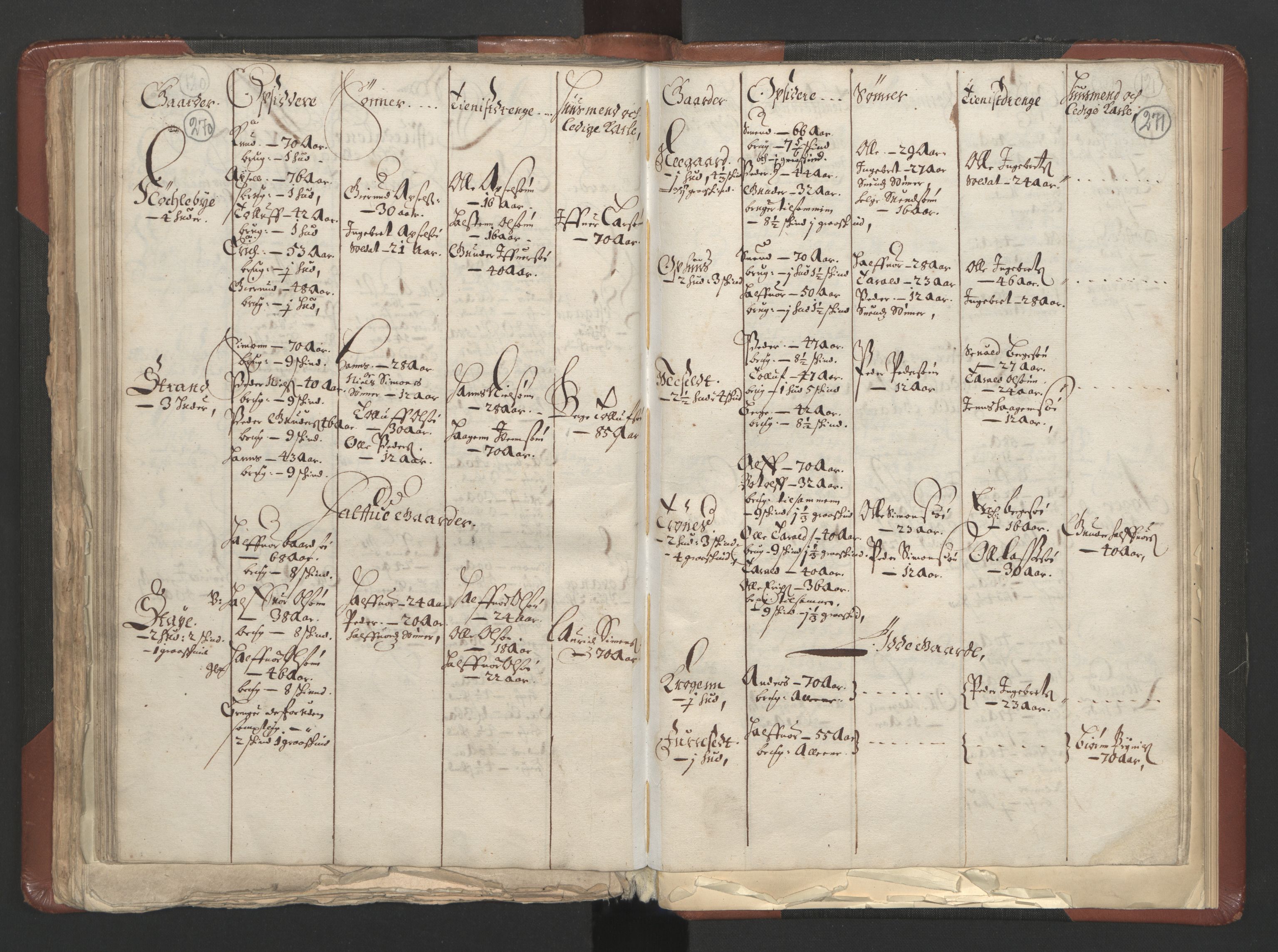 RA, Bailiff's Census 1664-1666, no. 3: Hedmark fogderi and Solør, Østerdal and Odal fogderi, 1664, p. 270-271