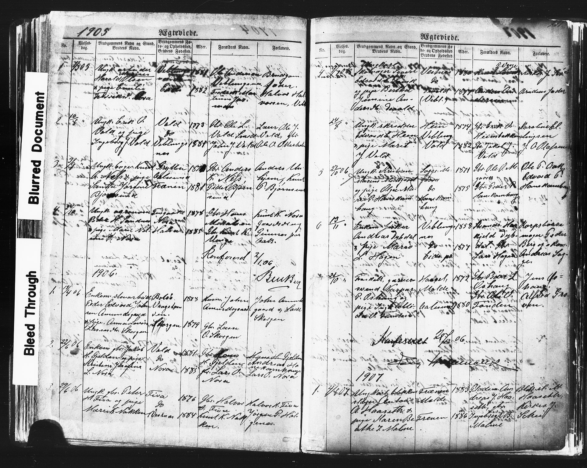 Ministerialprotokoller, klokkerbøker og fødselsregistre - Møre og Romsdal, AV/SAT-A-1454/544/L0580: Parish register (copy) no. 544C02, 1867-1909, p. 211