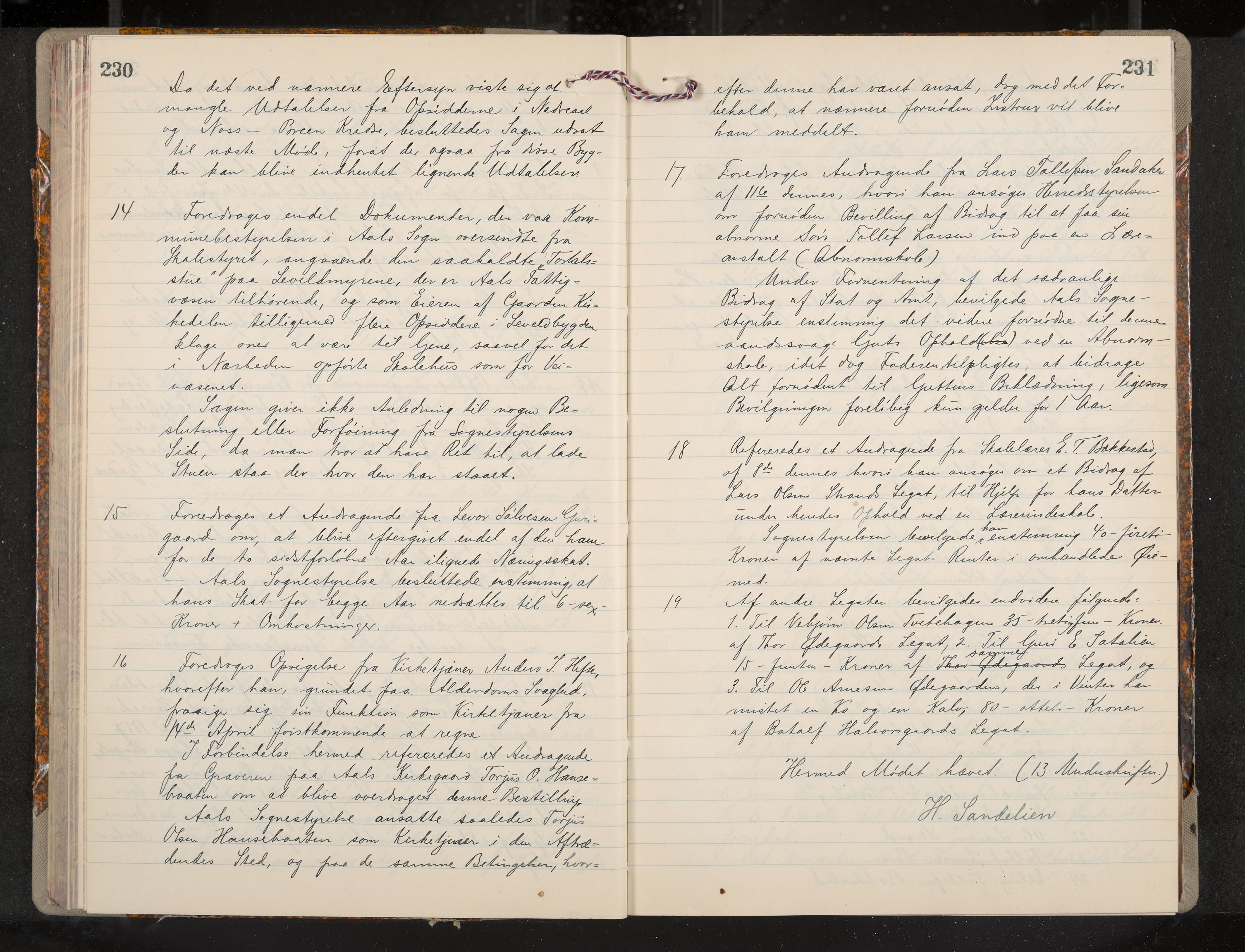 Ål formannskap og sentraladministrasjon, IKAK/0619021/A/Aa/L0004: Utskrift av møtebok, 1881-1901, p. 230-231