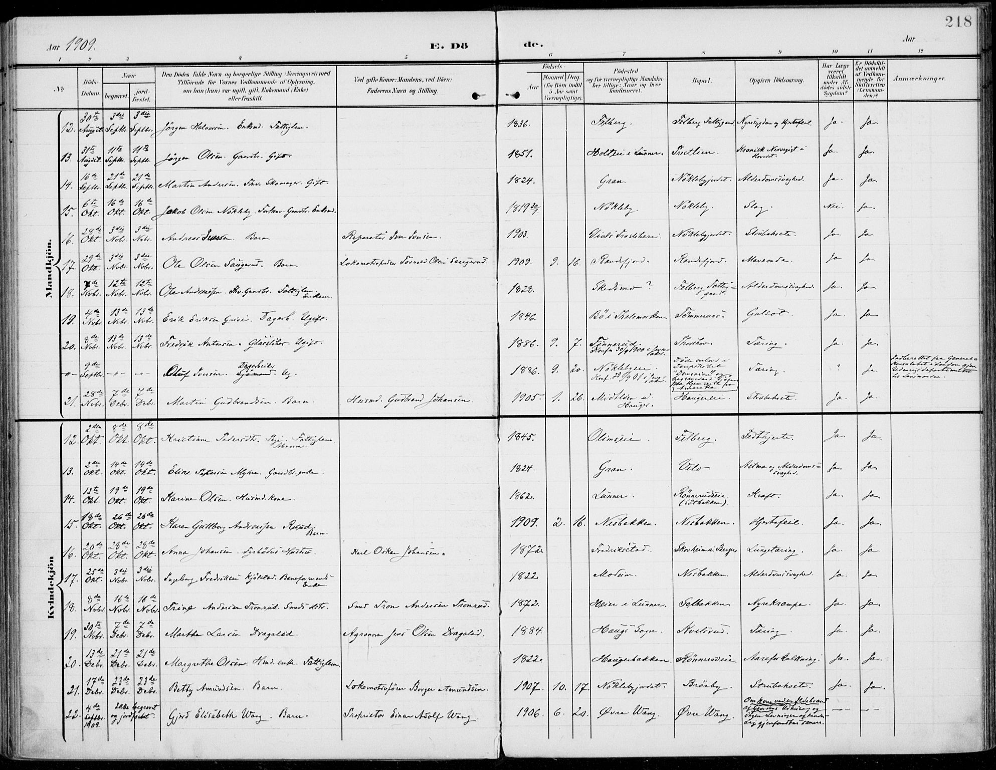 Jevnaker prestekontor, SAH/PREST-116/H/Ha/Haa/L0011: Parish register (official) no. 11, 1902-1913, p. 218