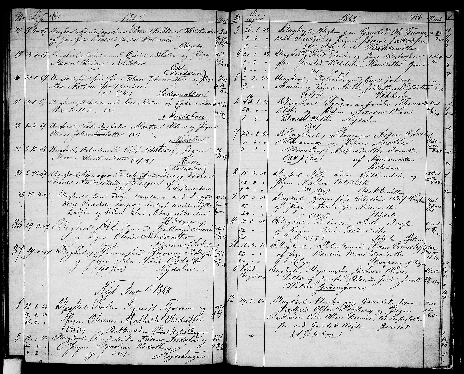 Vestre Aker prestekontor Kirkebøker, AV/SAO-A-10025/G/Ga/L0001: Parish register (copy) no. I 1, 1859-1871, p. 343-344